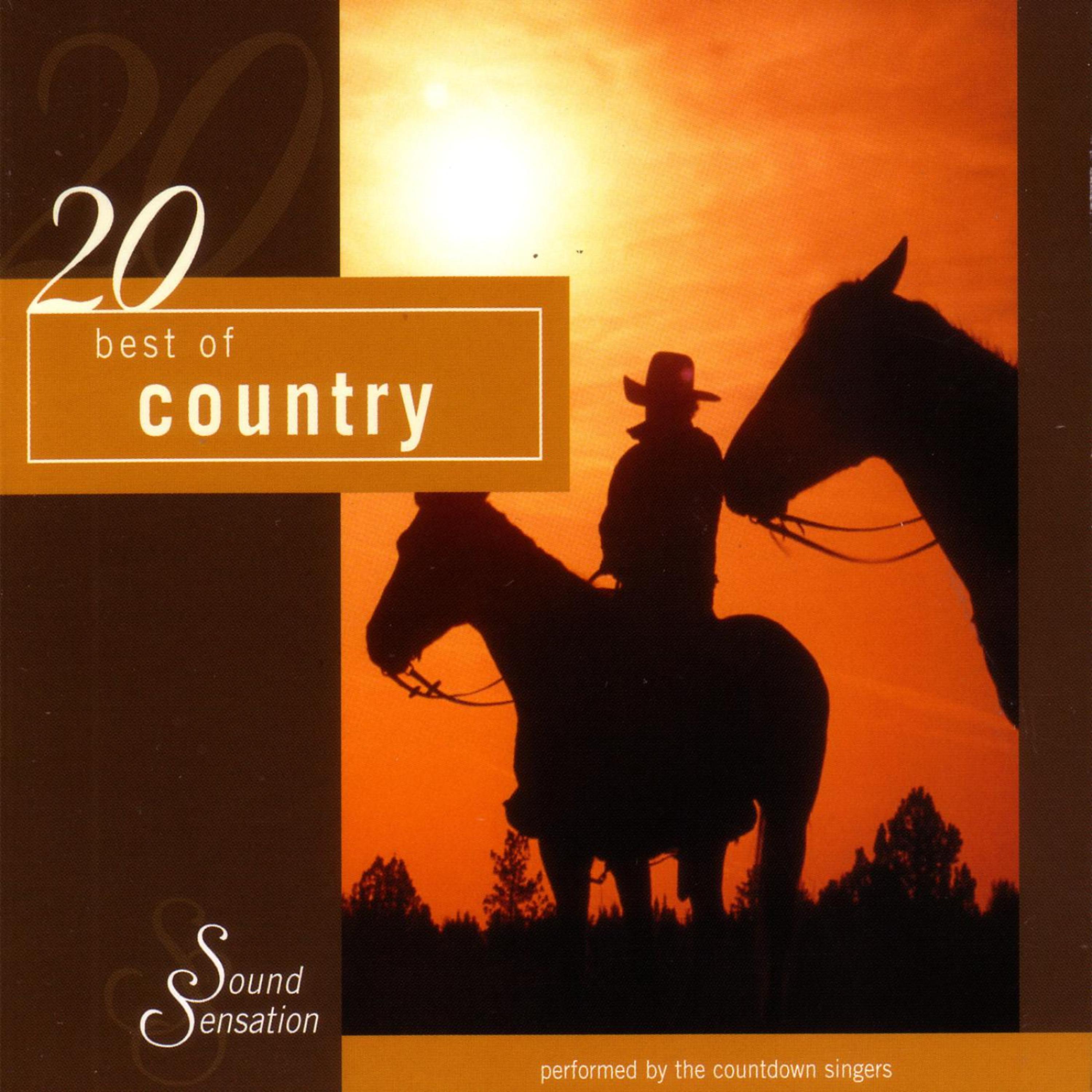 Постер альбома 20 Best of Country