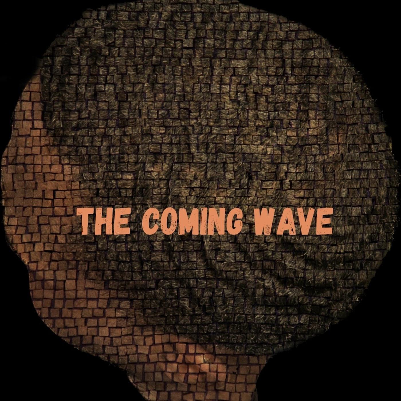 Постер альбома The Coming Wave
