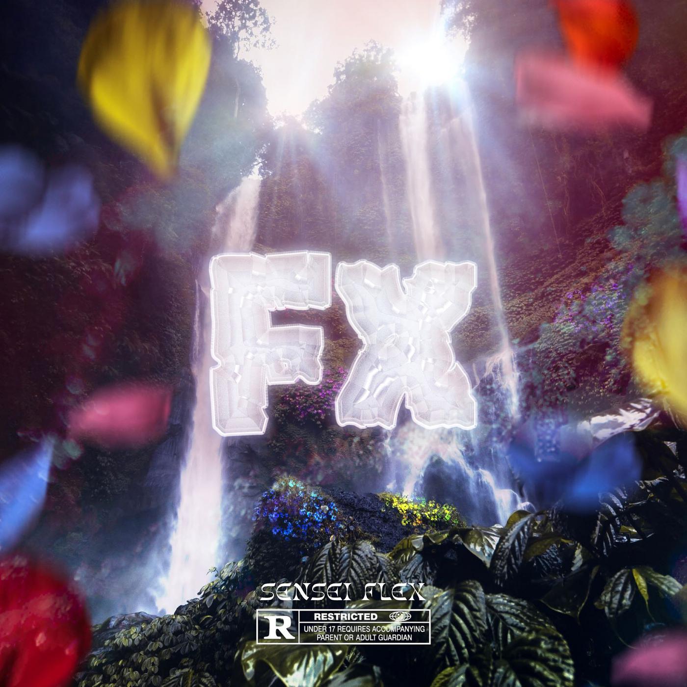 Постер альбома Fx