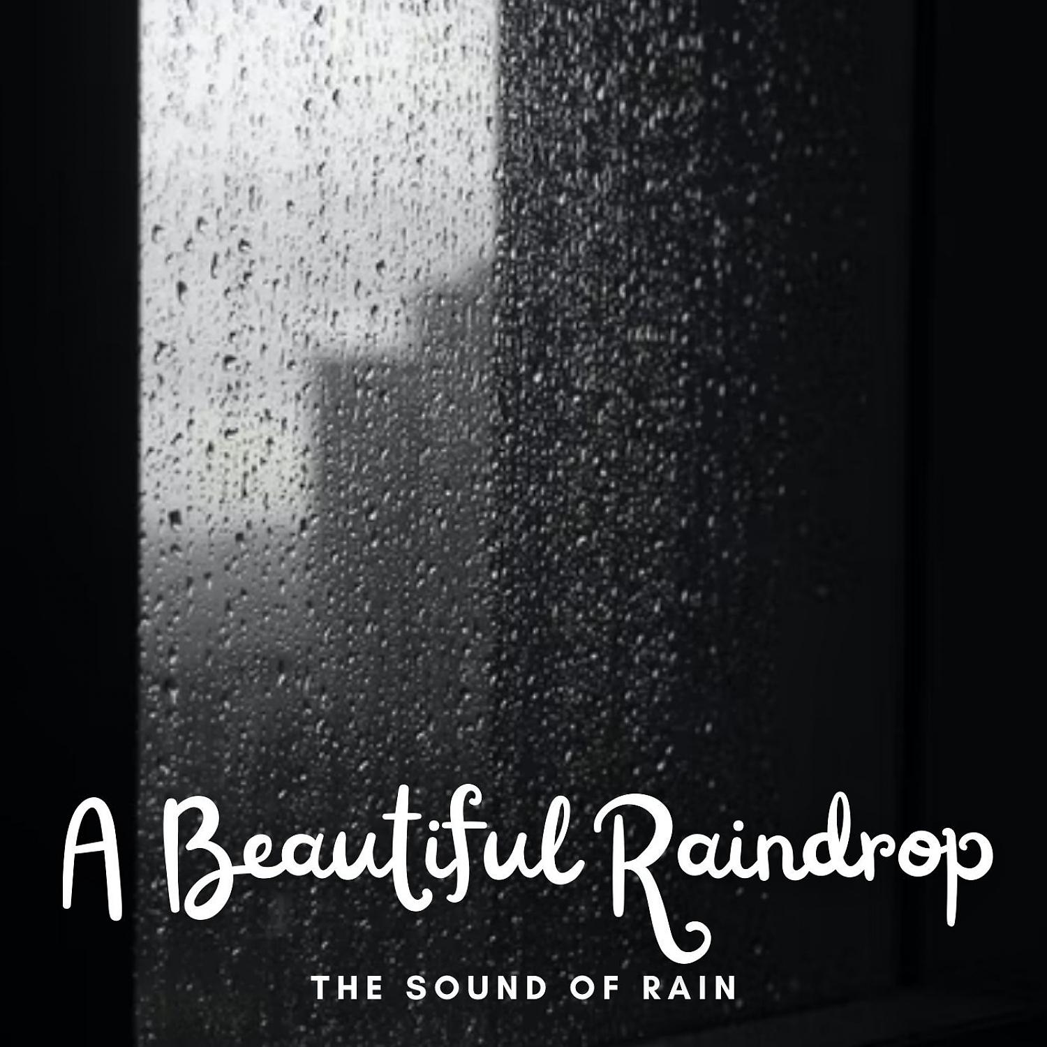 Постер альбома The Sound of Rain: A Beautiful Raindrop