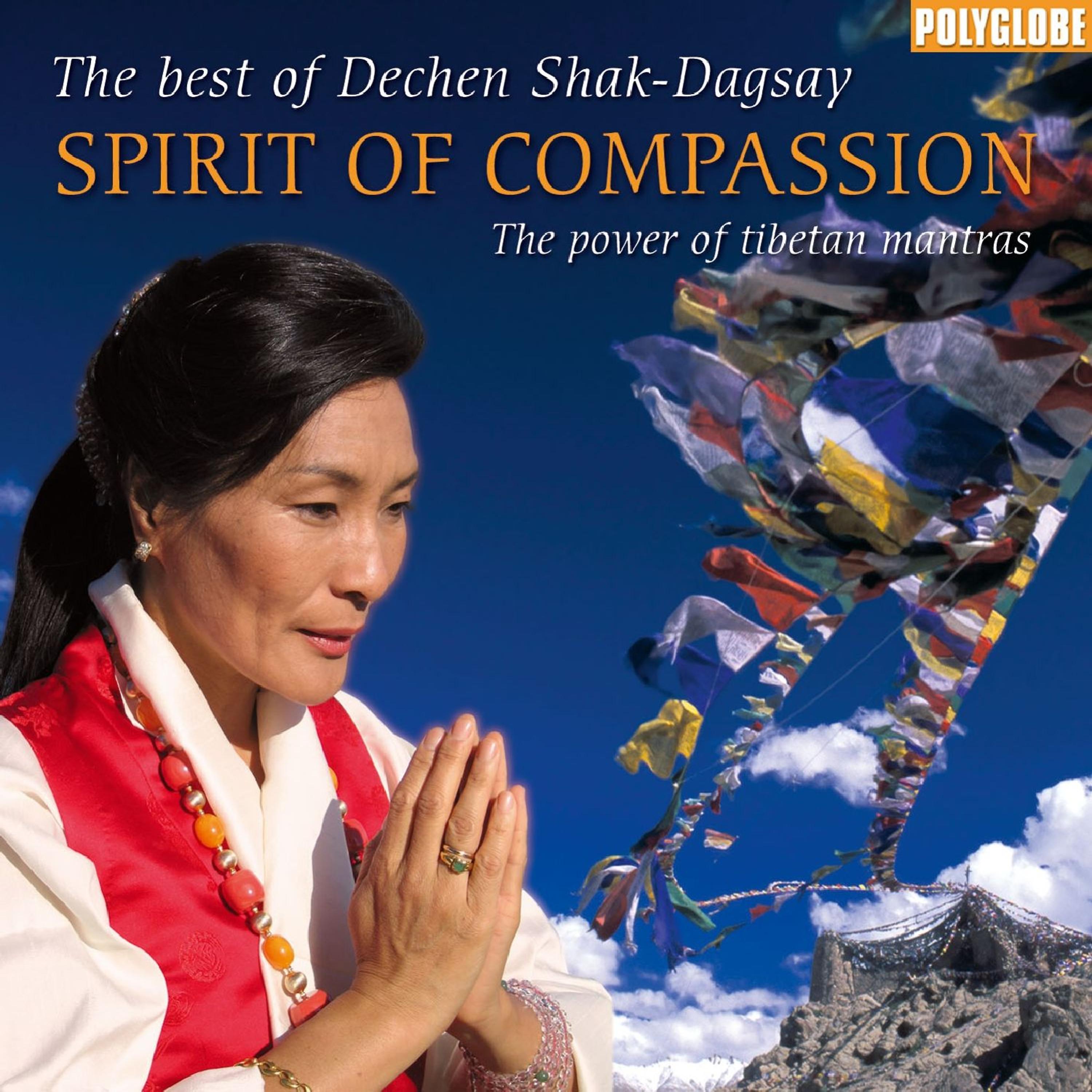 Постер альбома Spirit of Compassion