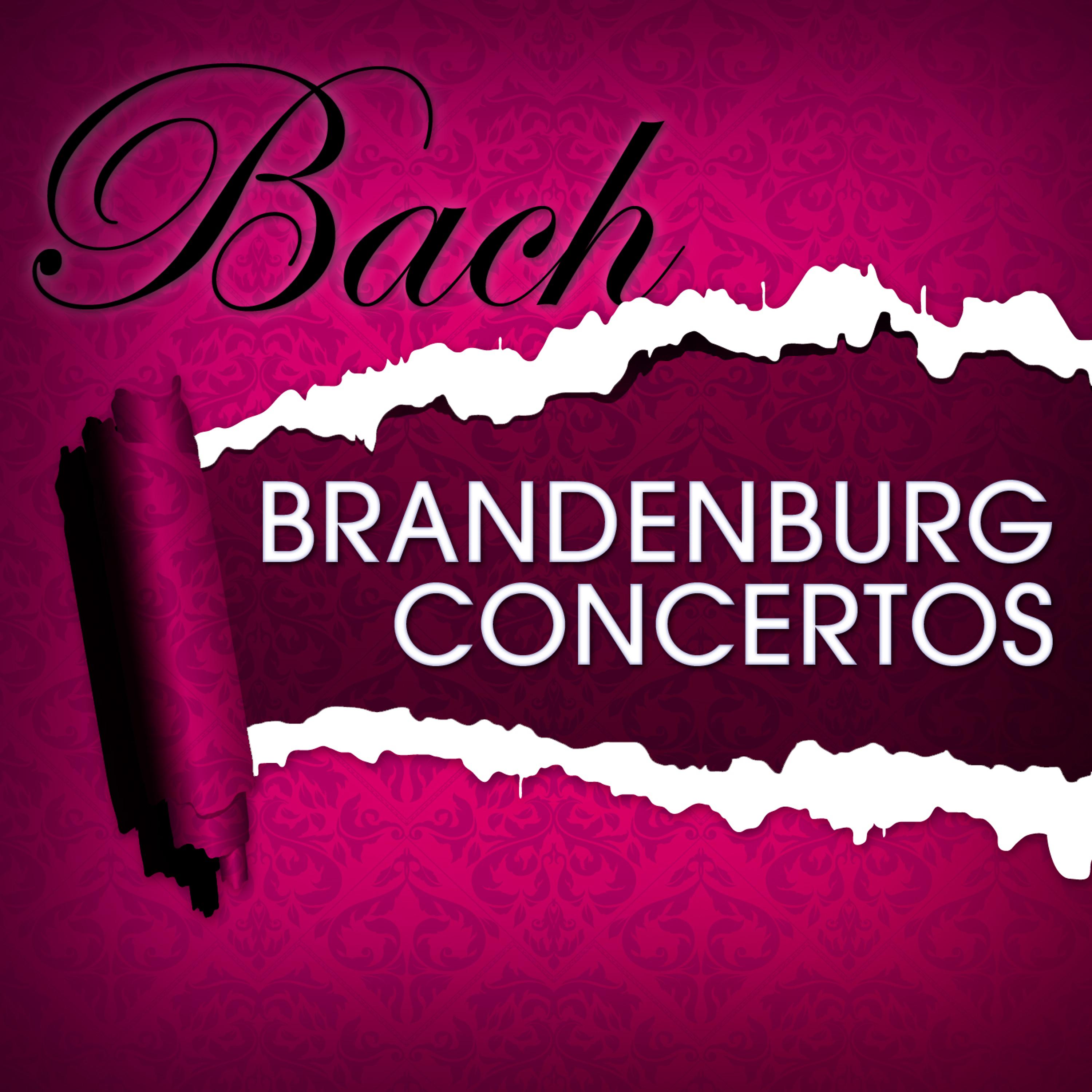 Постер альбома Brandenburg Concertos