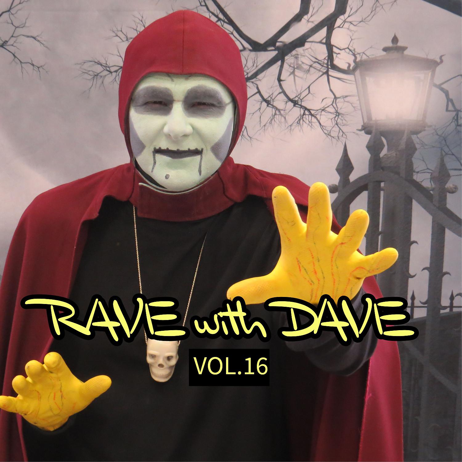 Постер альбома RAVE with DAVE, Vol. 16