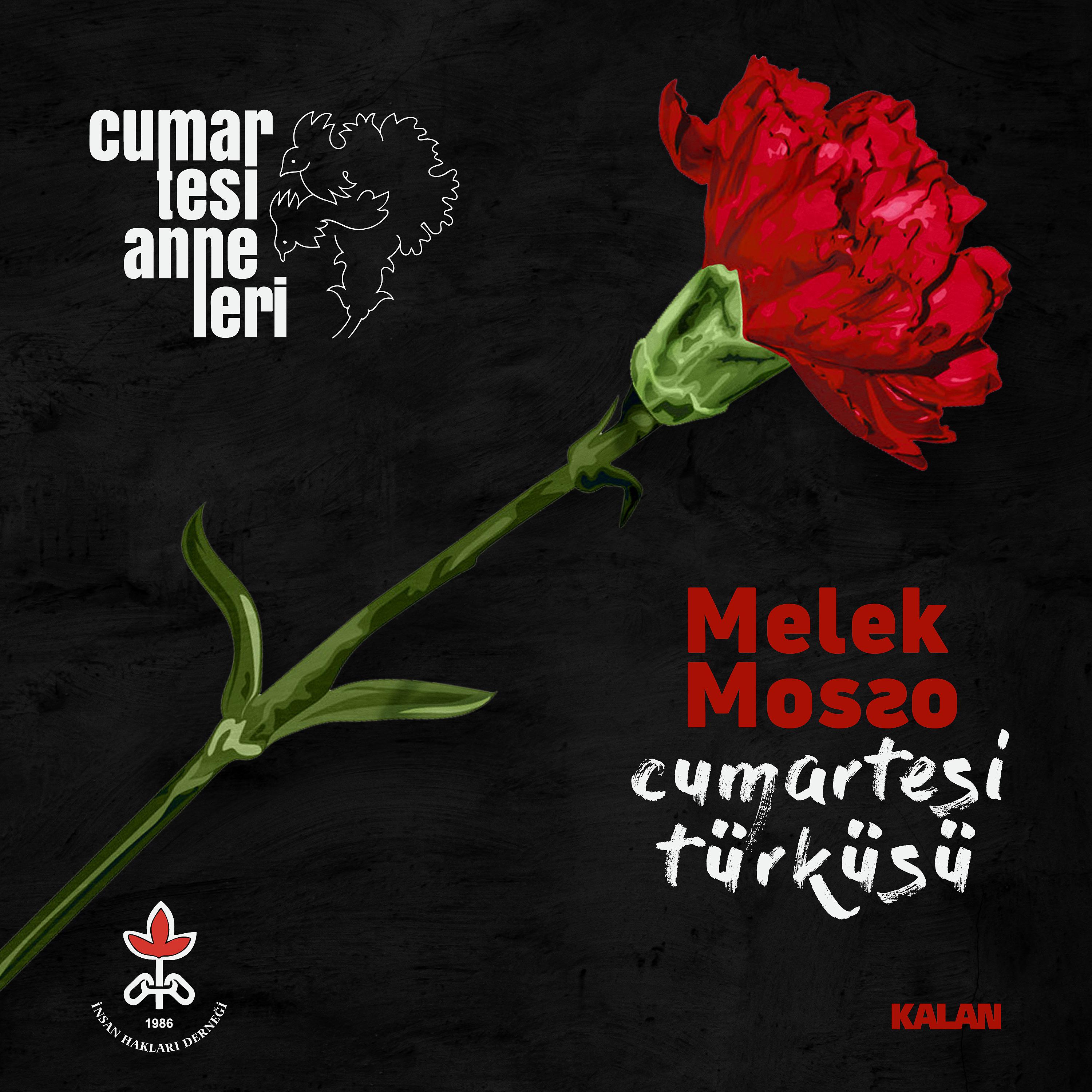 Постер альбома Cumartesi Türküsü