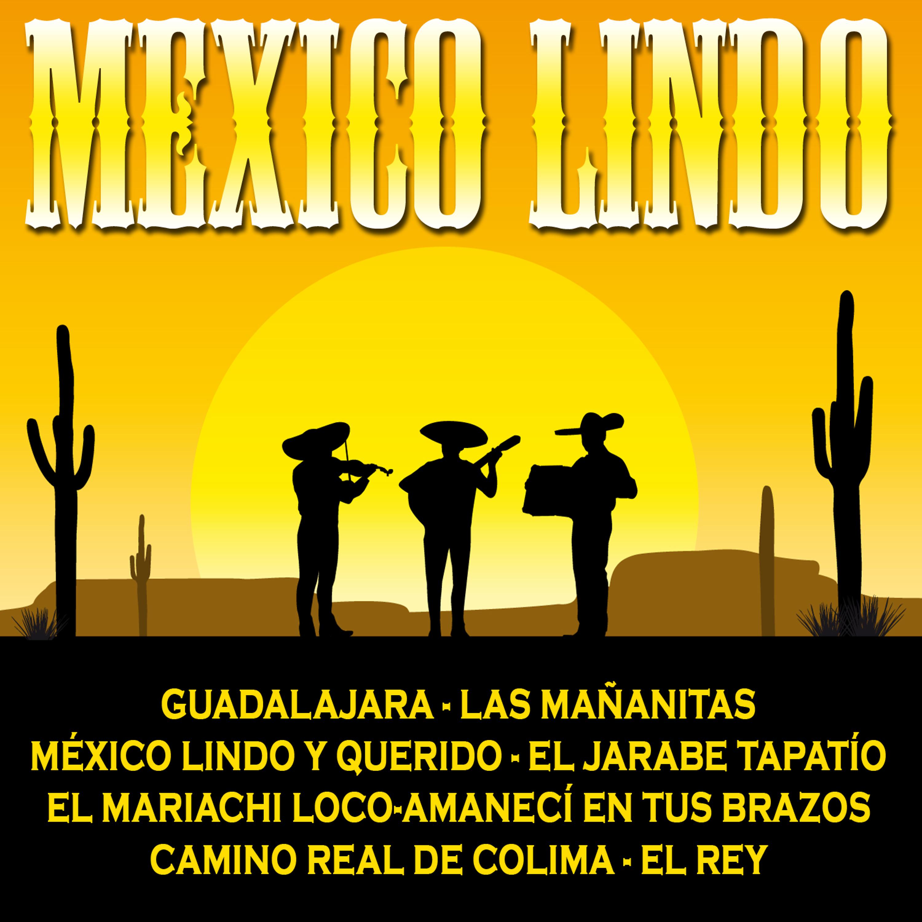 Постер альбома México Lindo