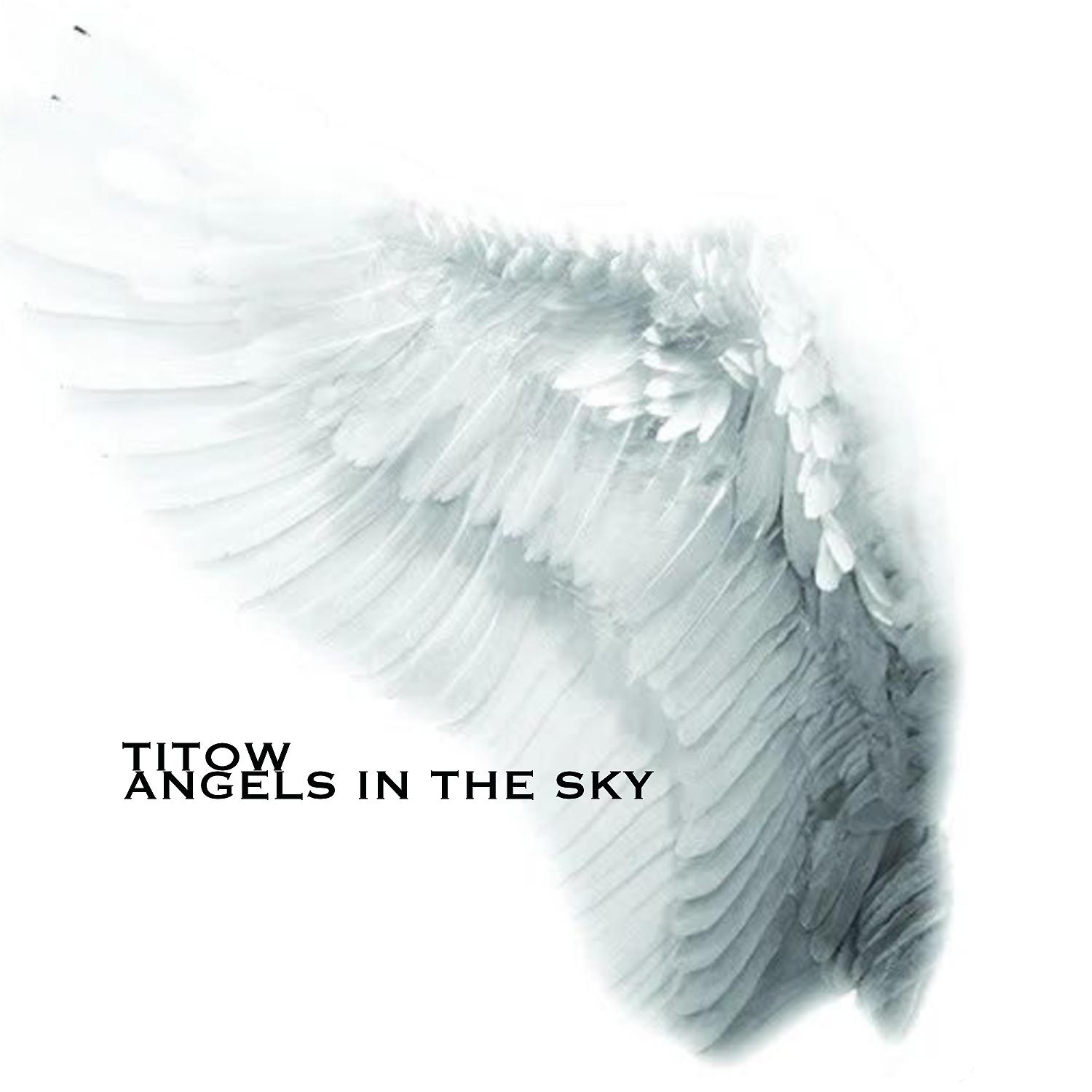 Постер альбома Angels In The Sky