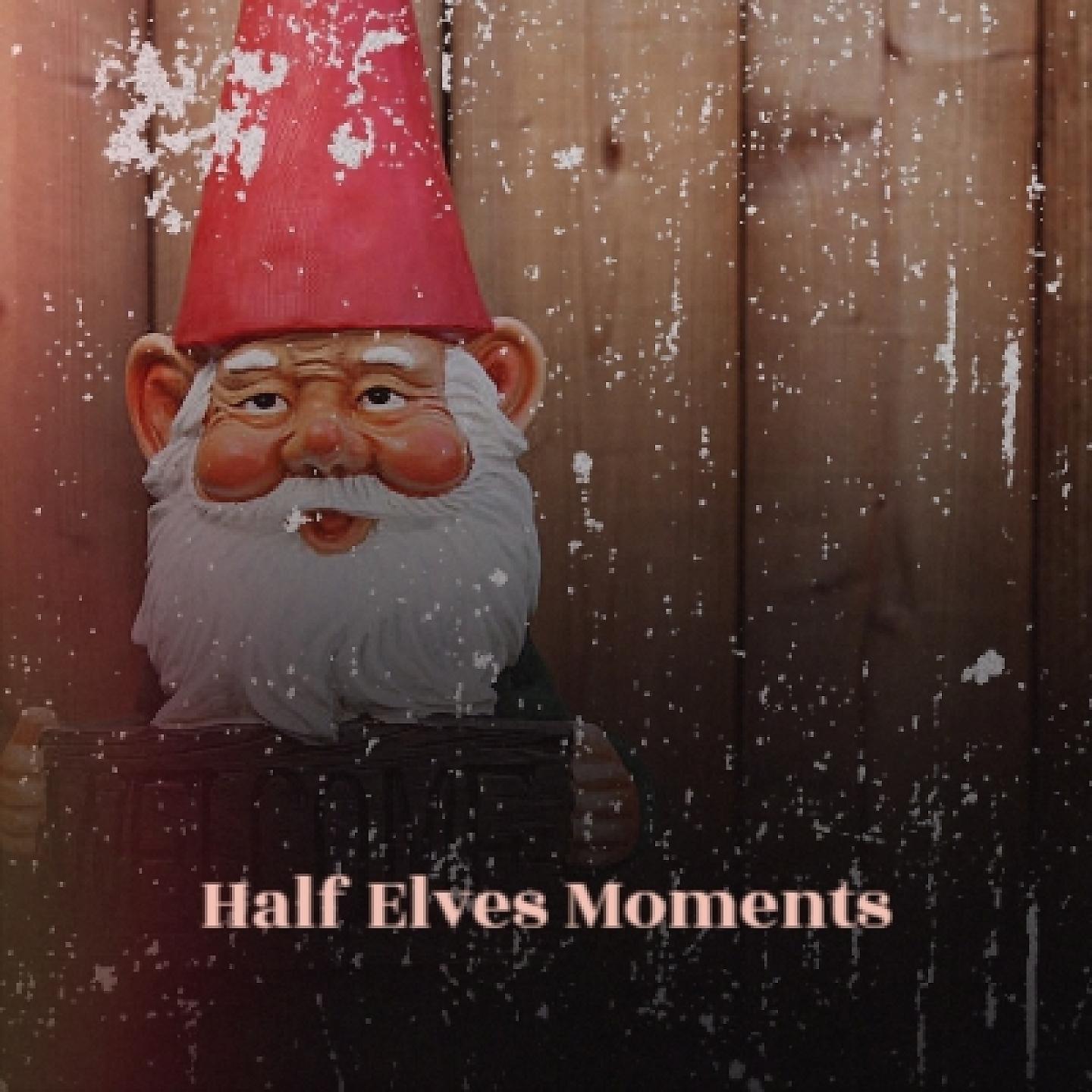 Постер альбома Half Elves Moments