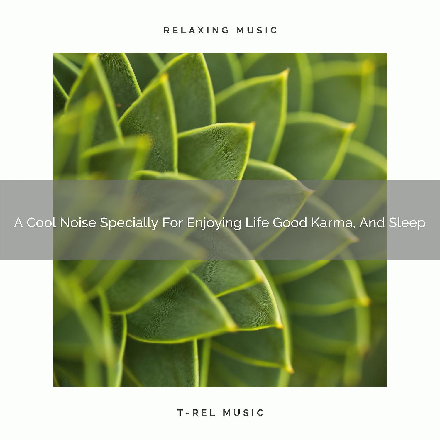 Постер альбома A Cool Noise Specially For Enjoying Life Good Karma, And Sleep