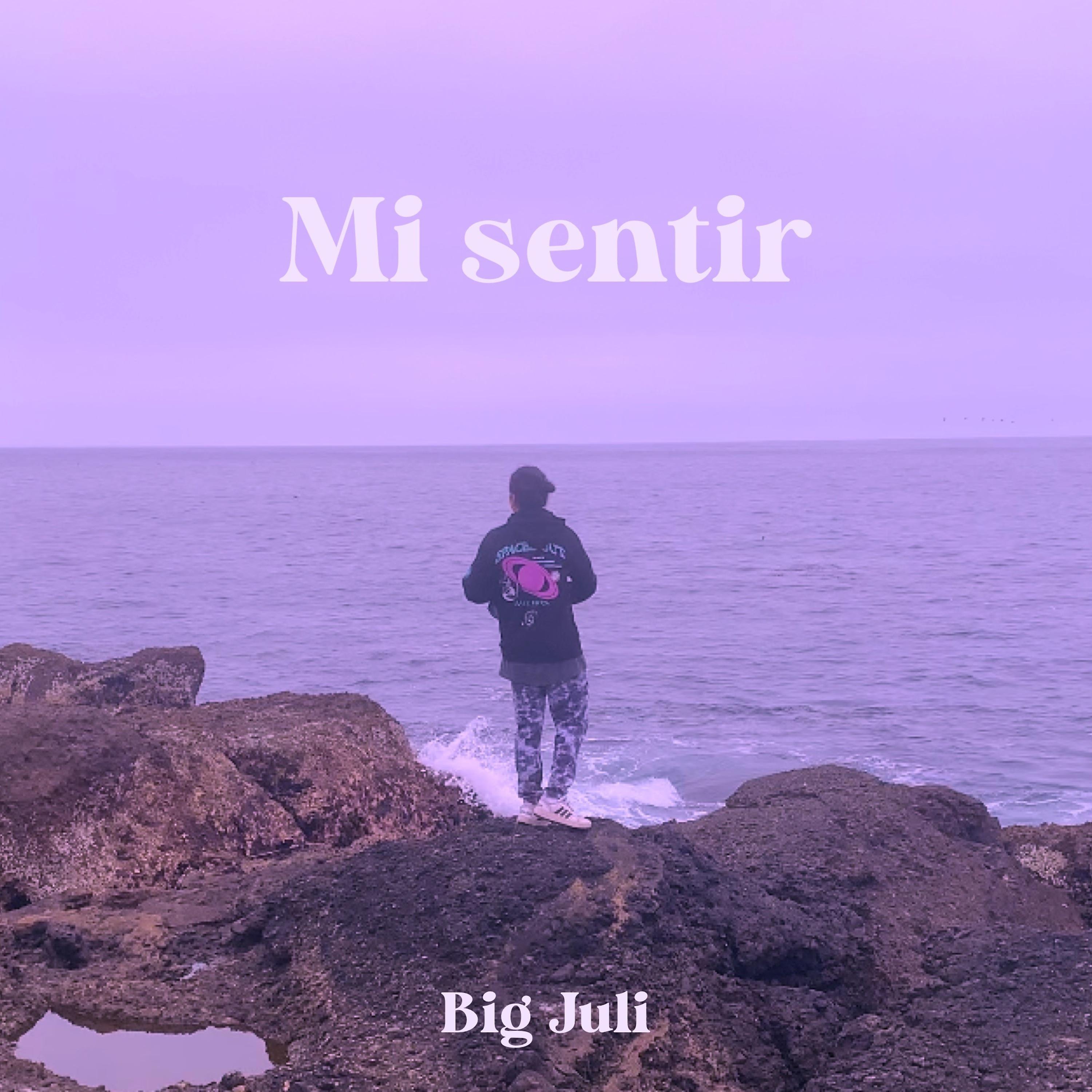 Постер альбома Mi Sentir