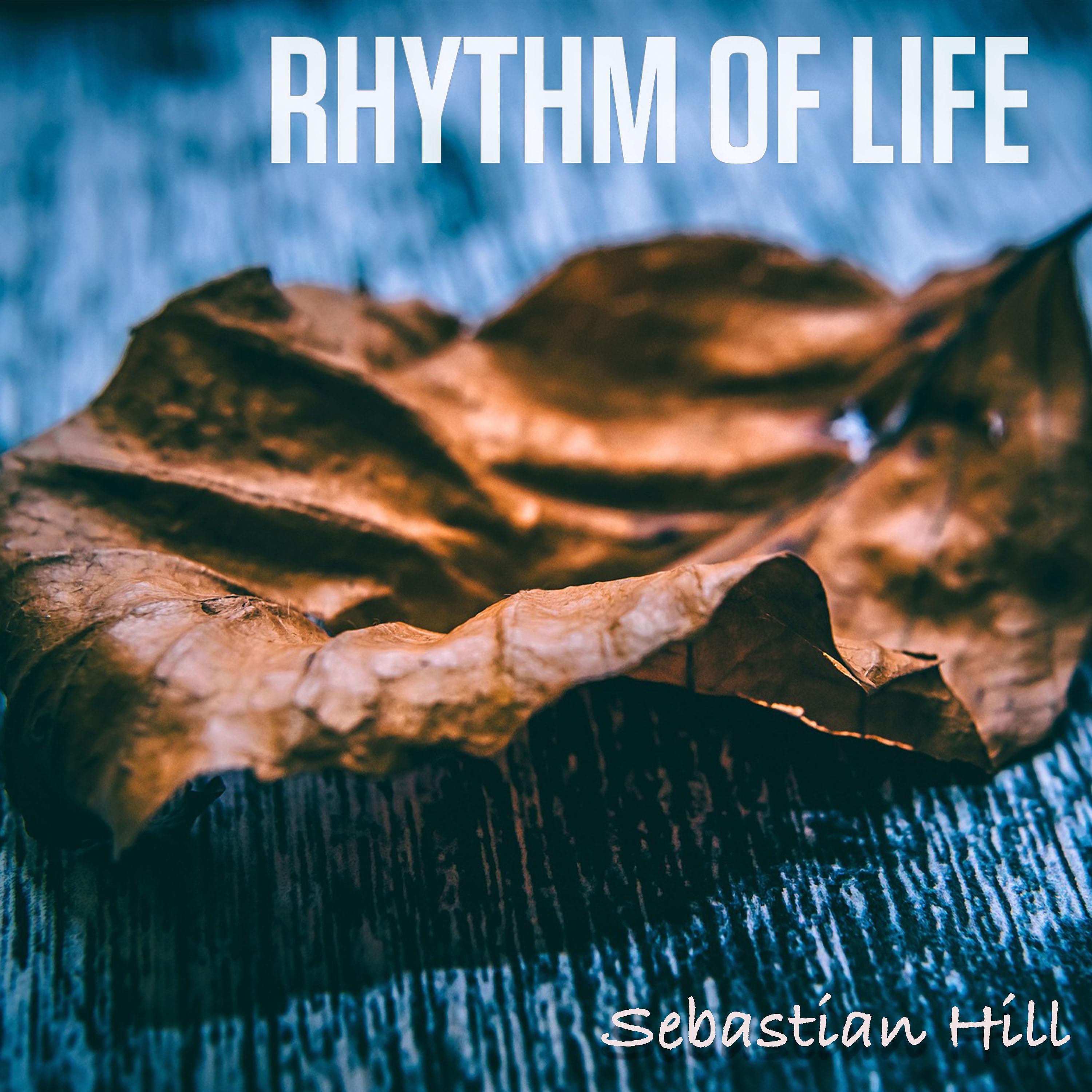 Постер альбома Rhythm of Life