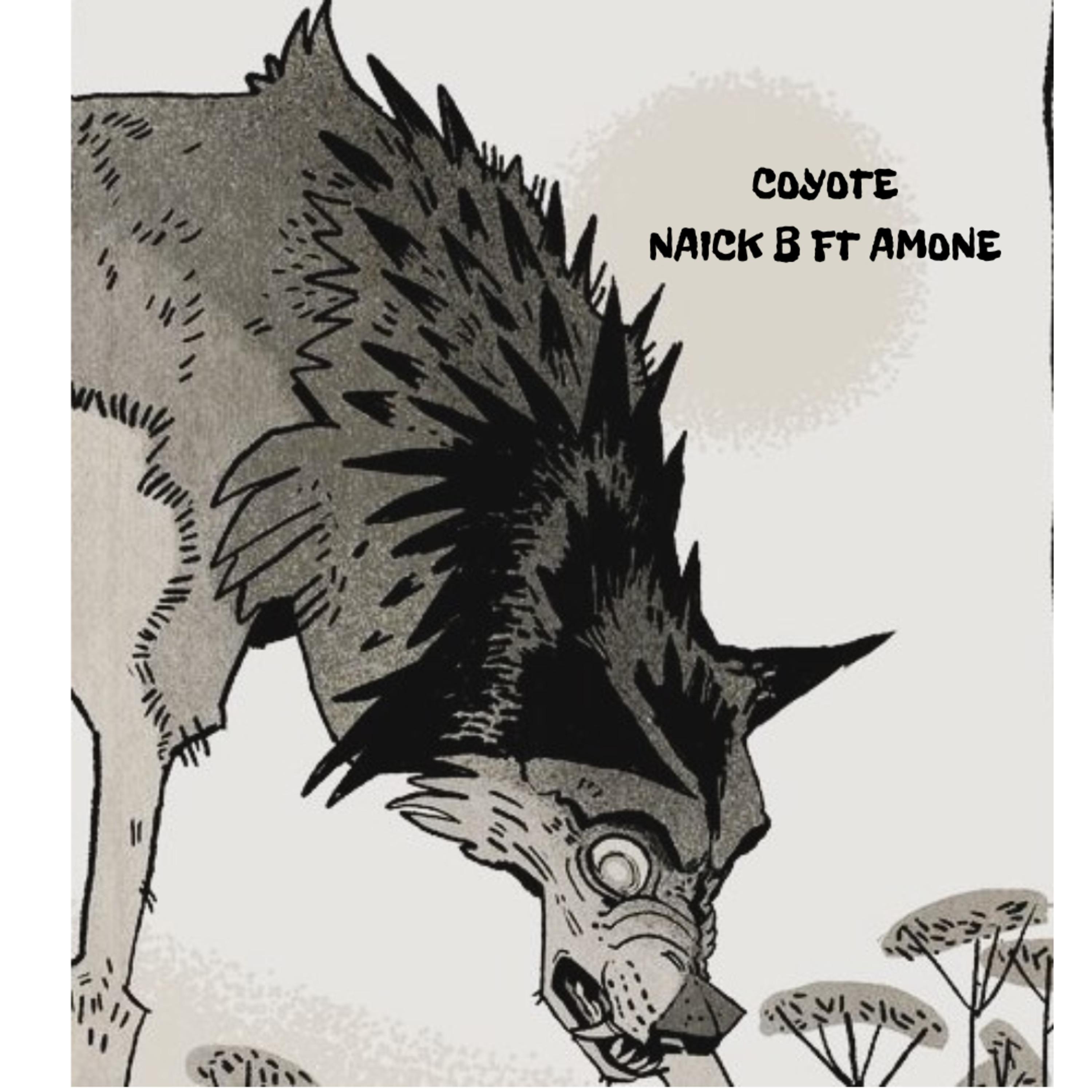 Постер альбома Coyote
