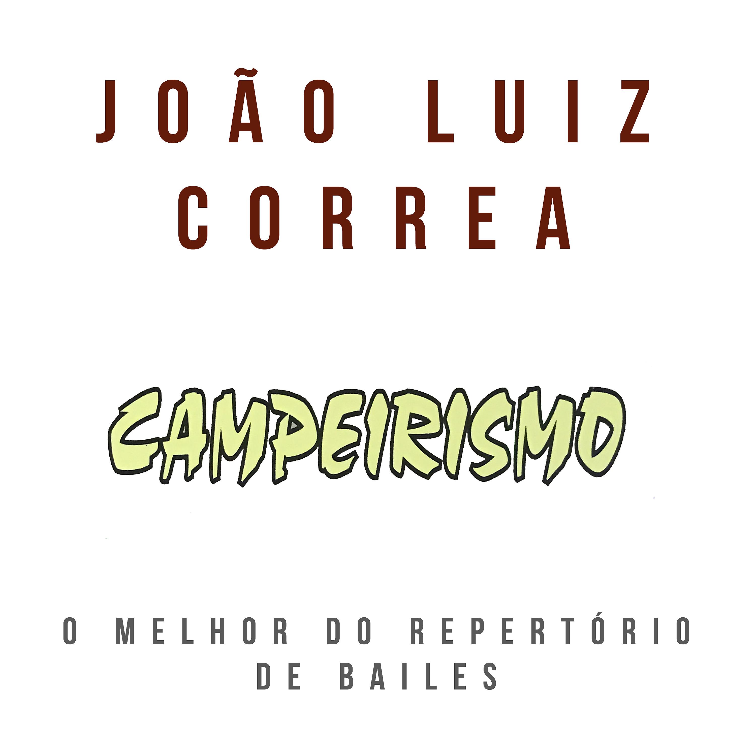 Постер альбома Campeirismo - O Melhor do Repertório de Bailes