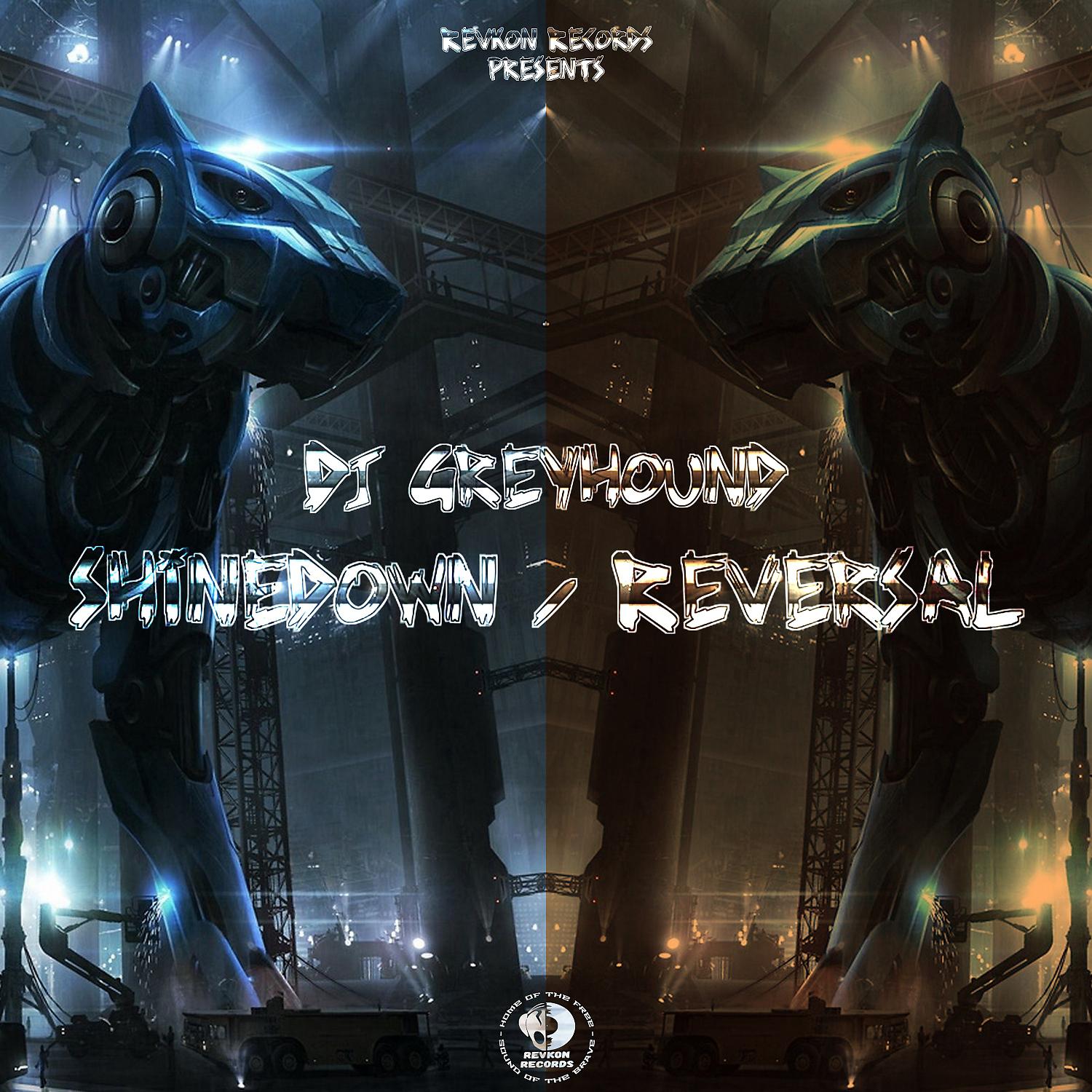 Постер альбома Shinedown / Reversal