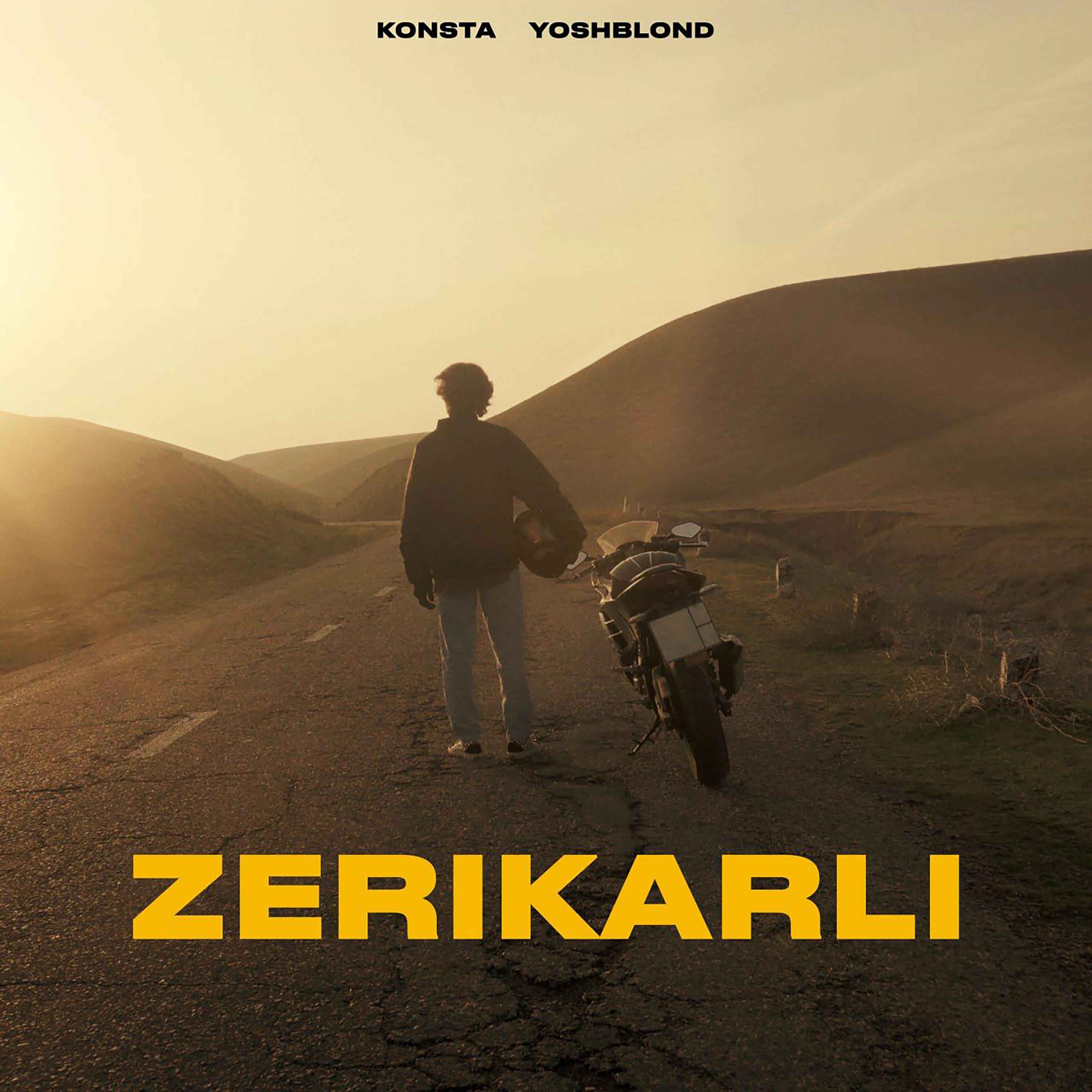 Постер альбома Zerikarli