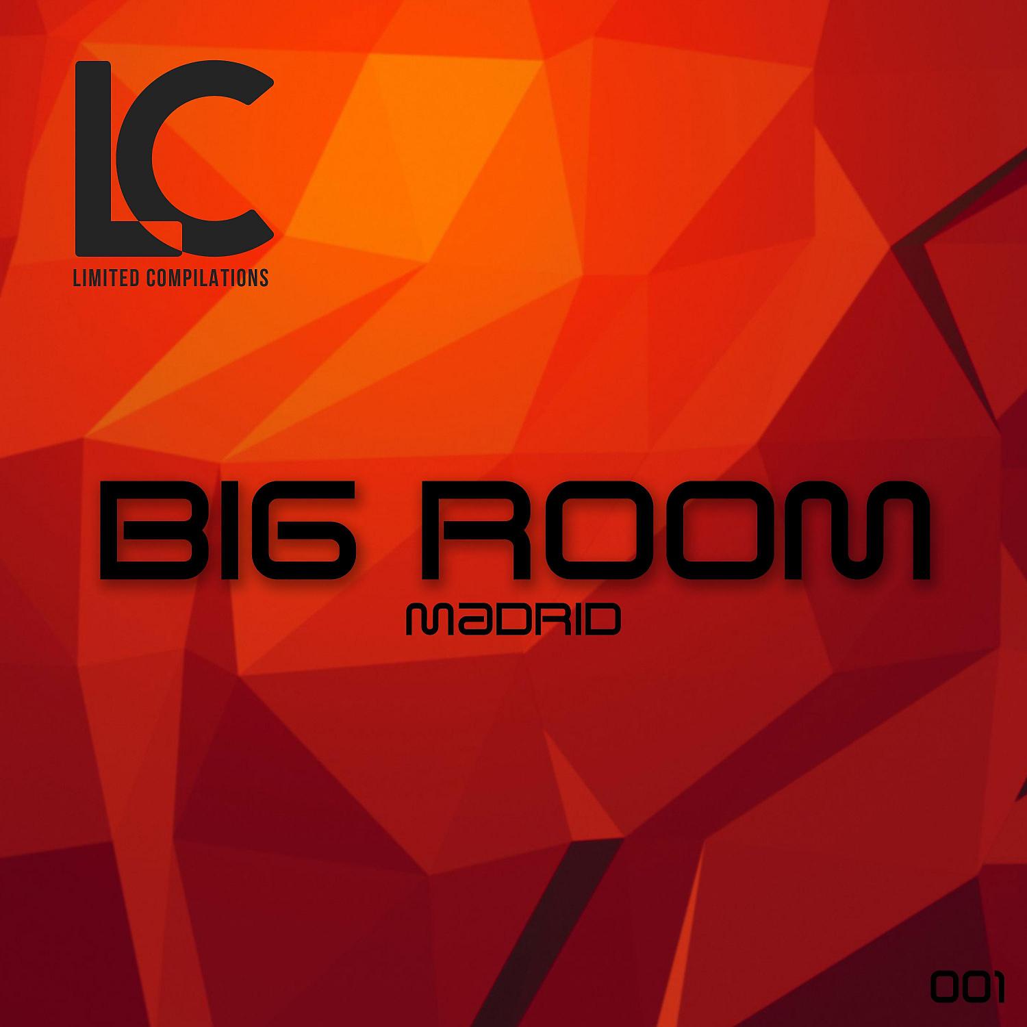 Постер альбома Madrid Big Room