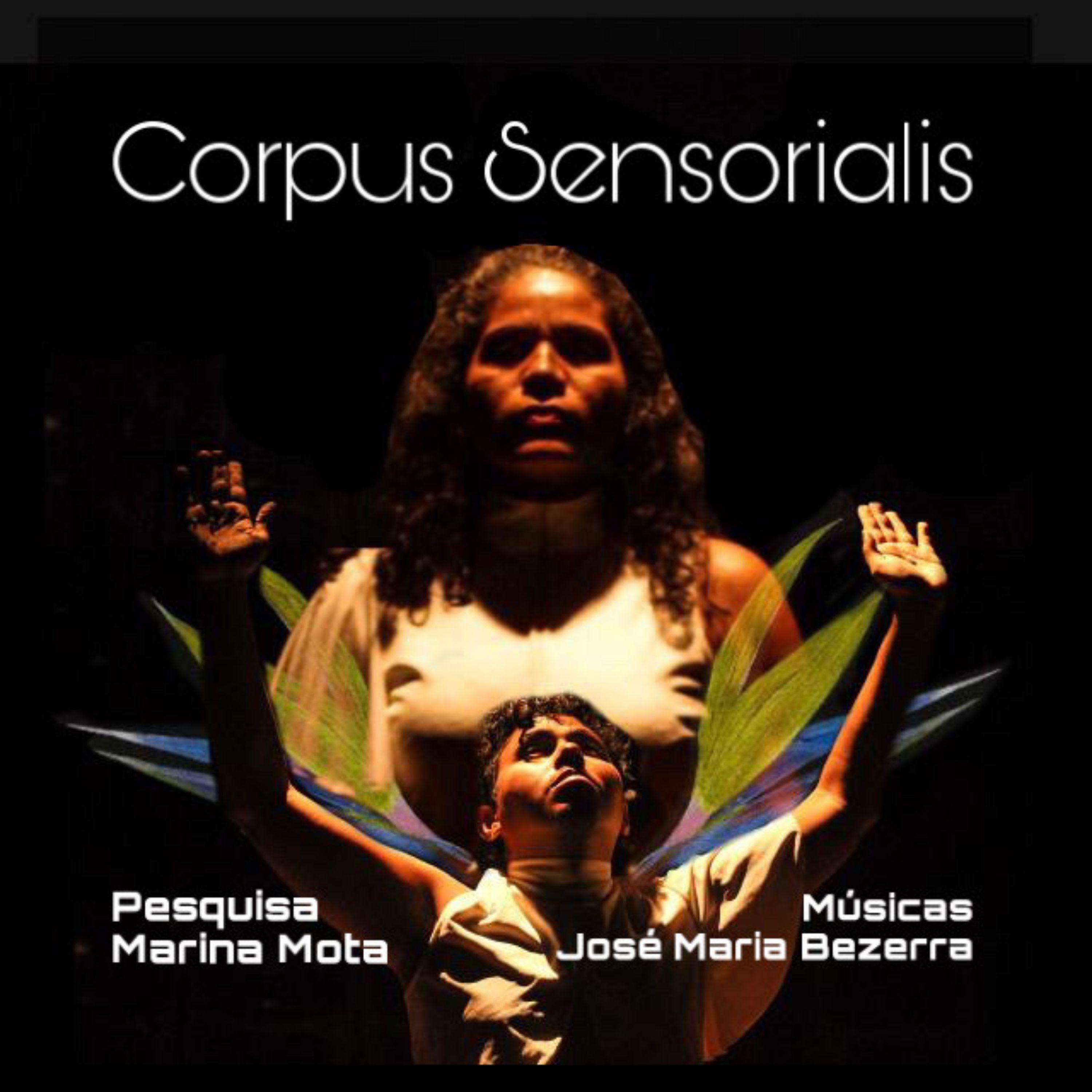 Постер альбома Corpus Sensorialis