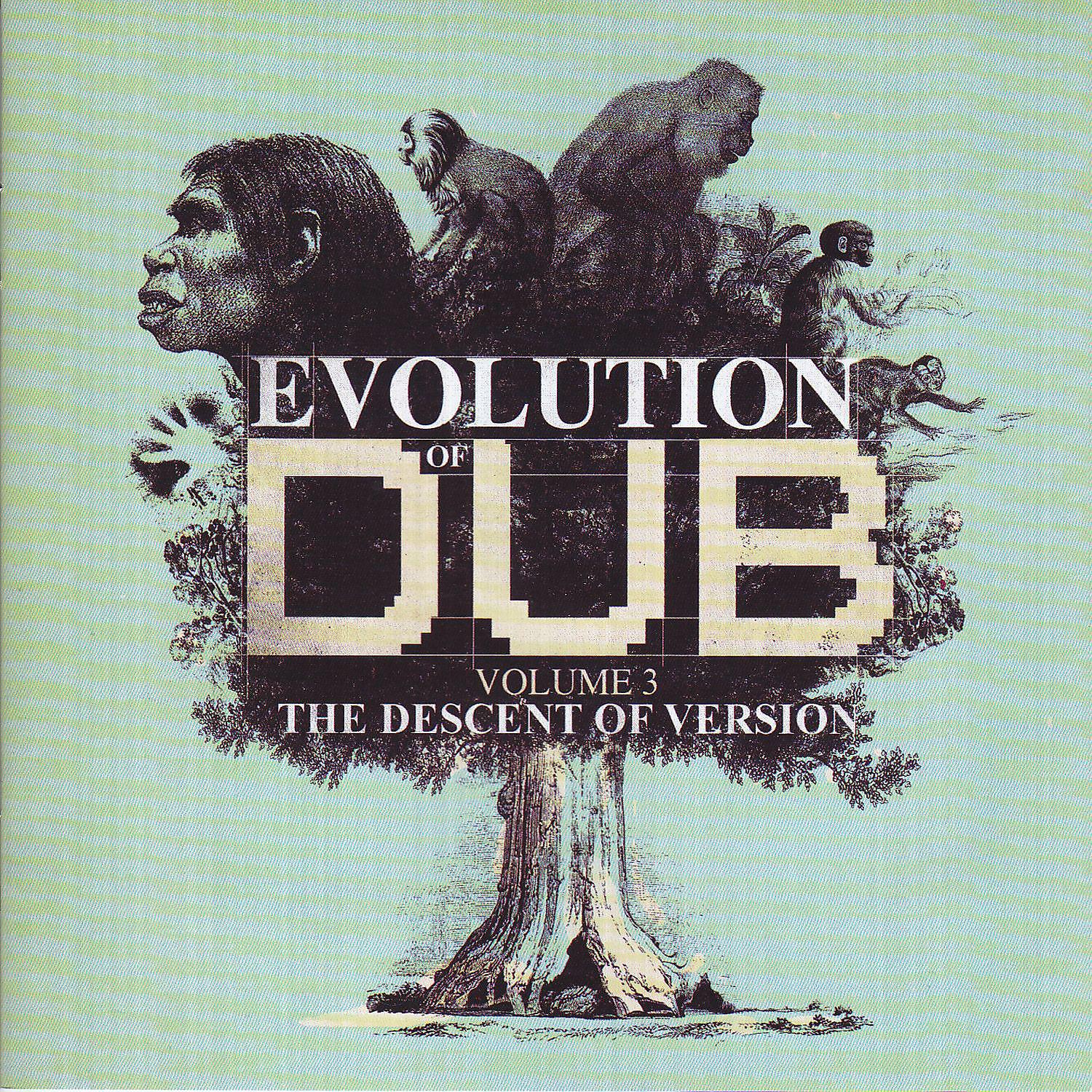 Постер альбома Evolution Of Dub Vol 3