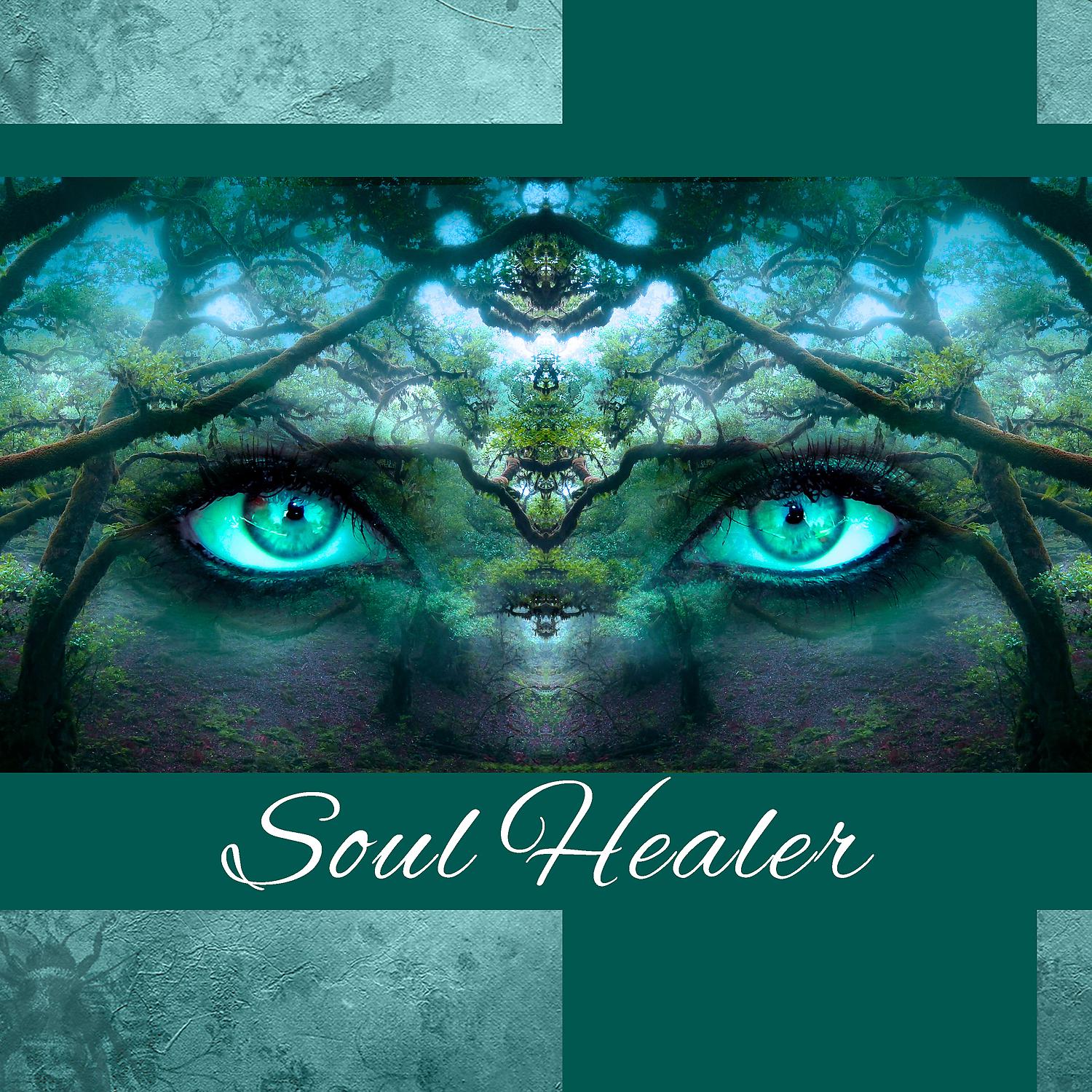 Постер альбома Soul Healer: Self Exploration, Mental Process, Vipassana Meditation, Universal Remedy, Art of Living