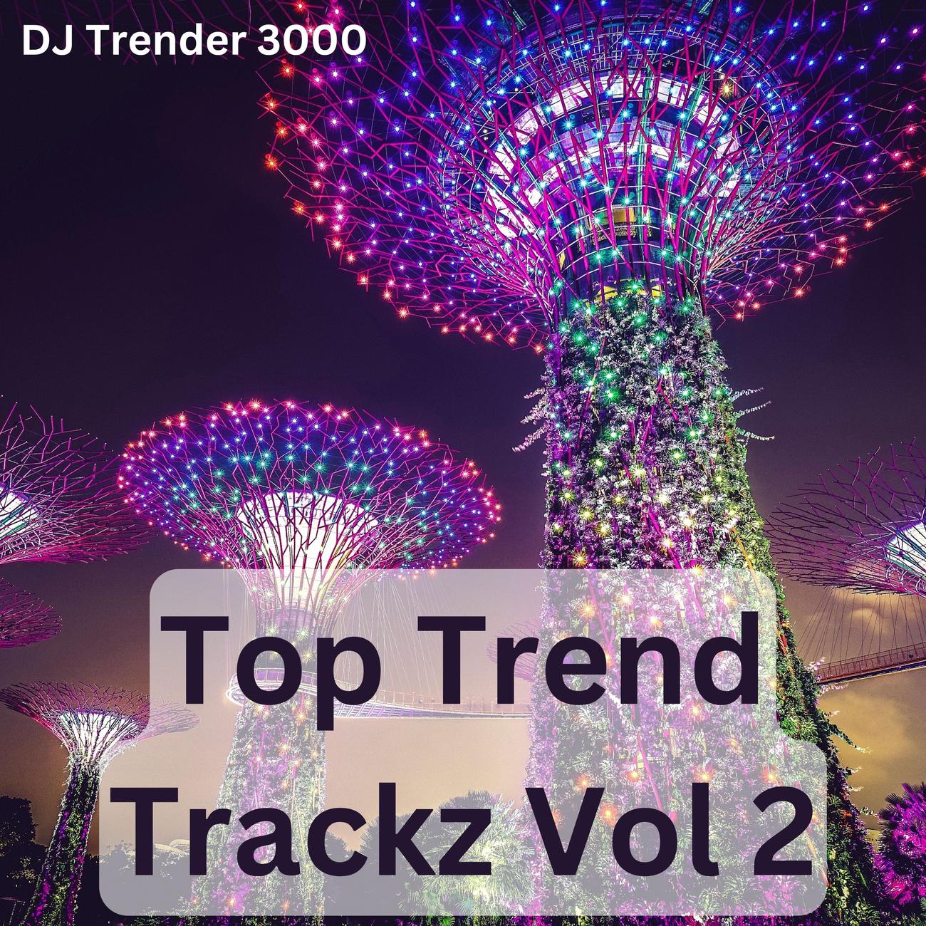 Постер альбома Top Trend Trackz Vol 2