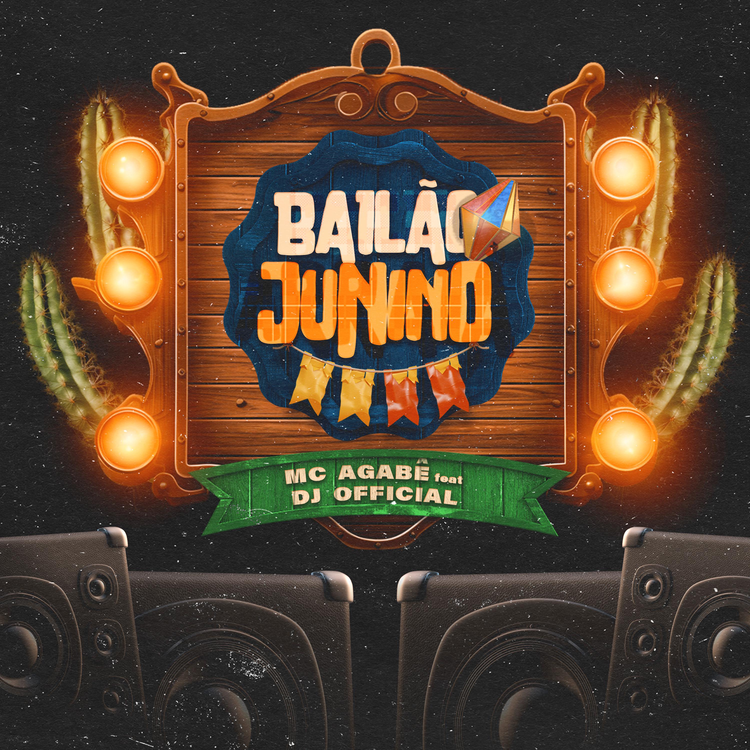 Постер альбома Bailão Junino