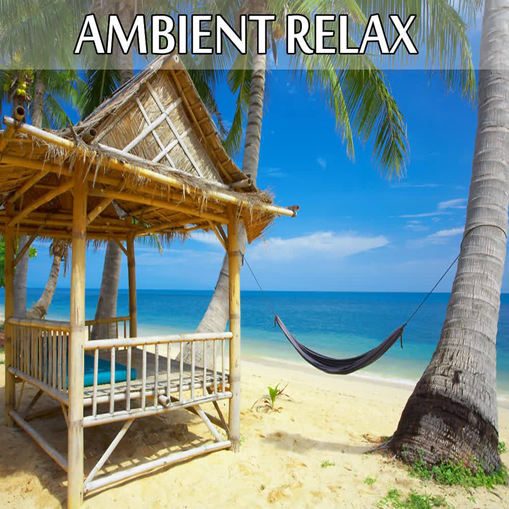 Постер альбома Ambient. Relax