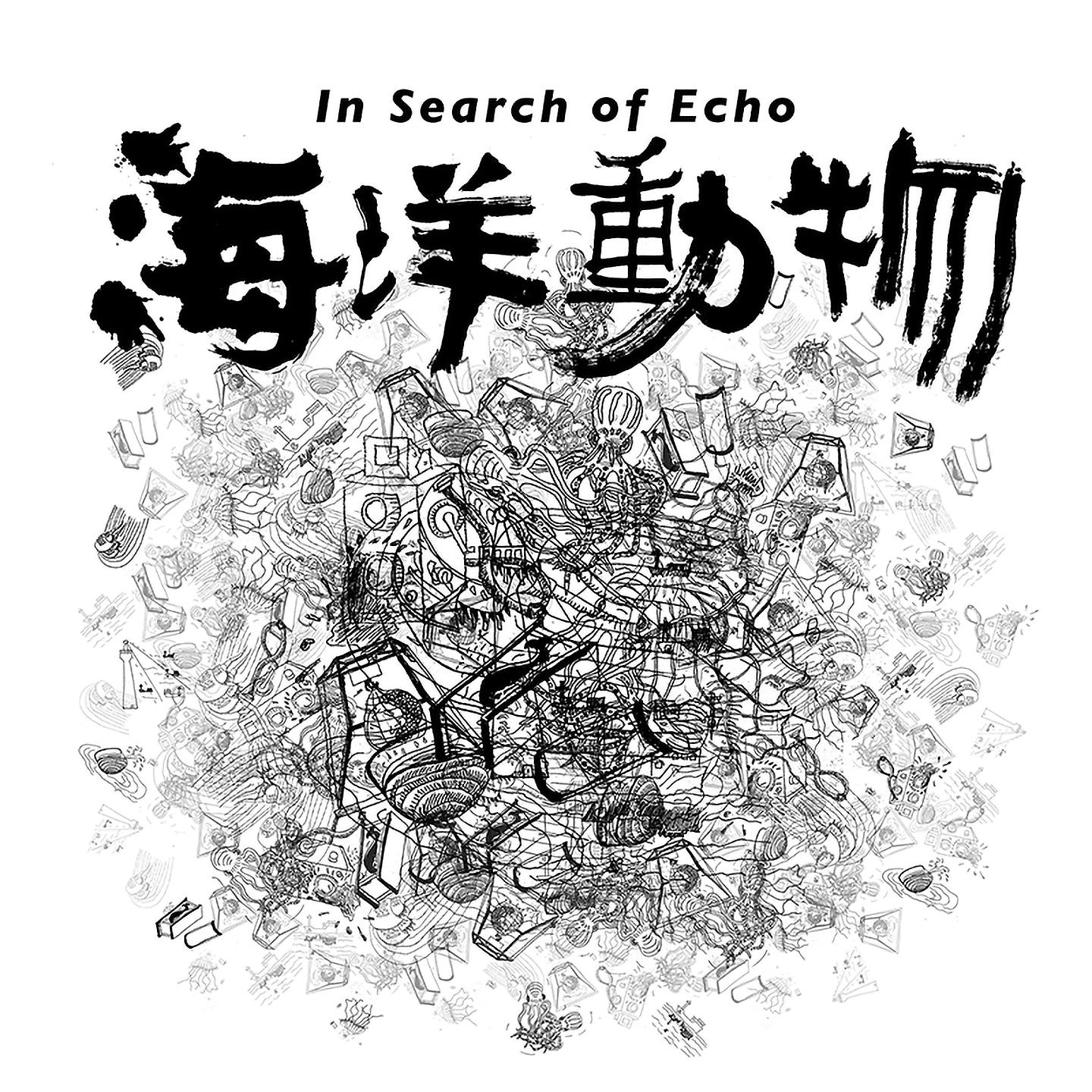 Постер альбома In Search of Echo