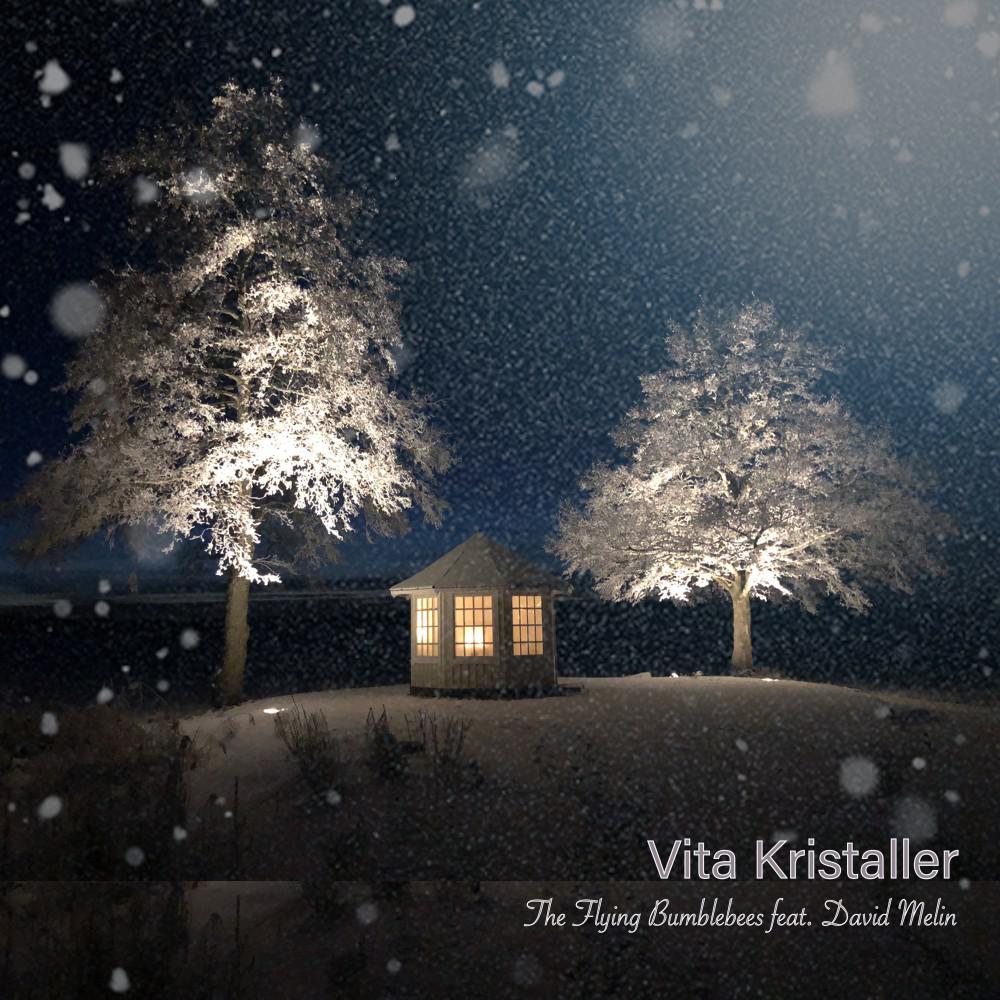 Постер альбома Vita Kristaller