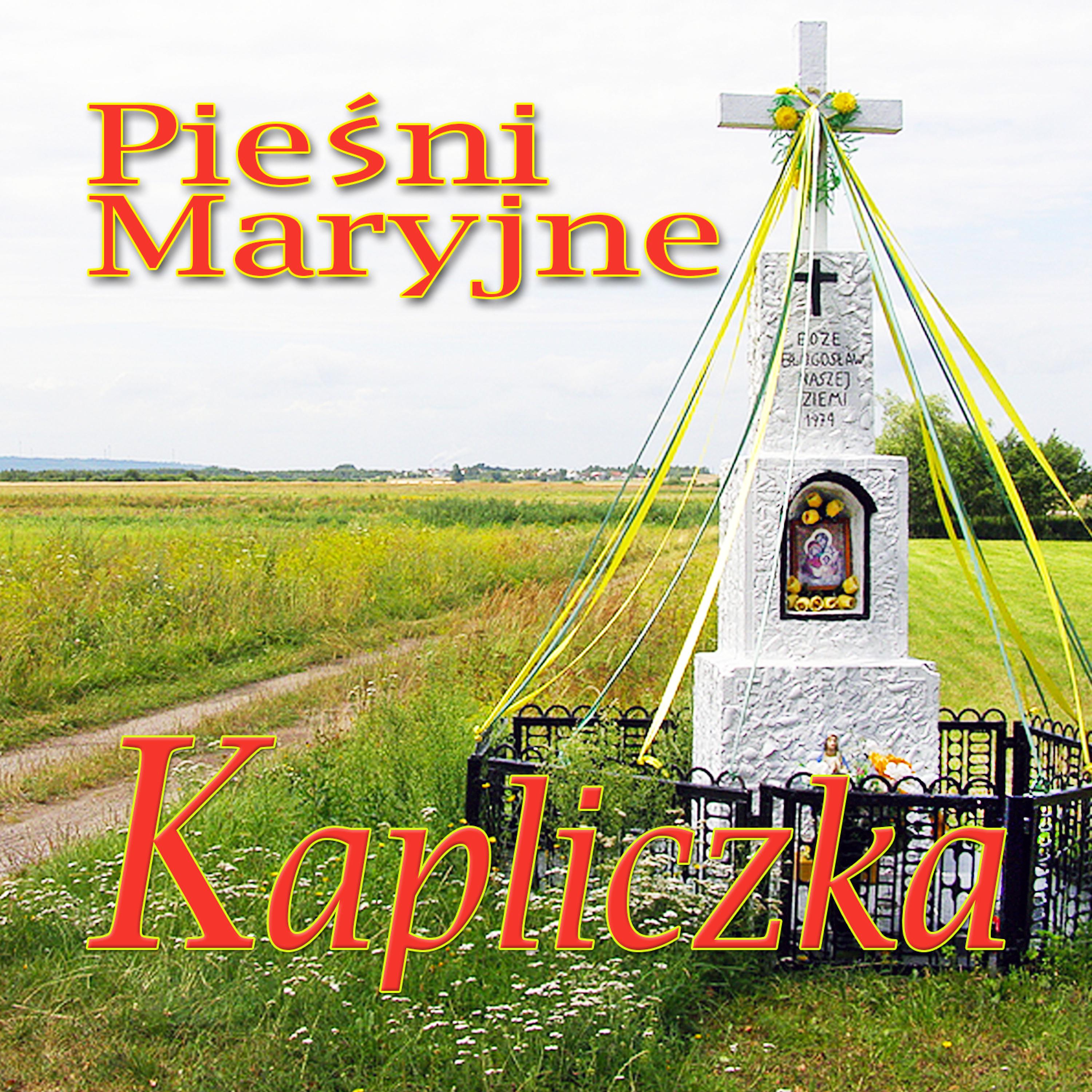 Постер альбома Piesni Maryjne Kapliczka