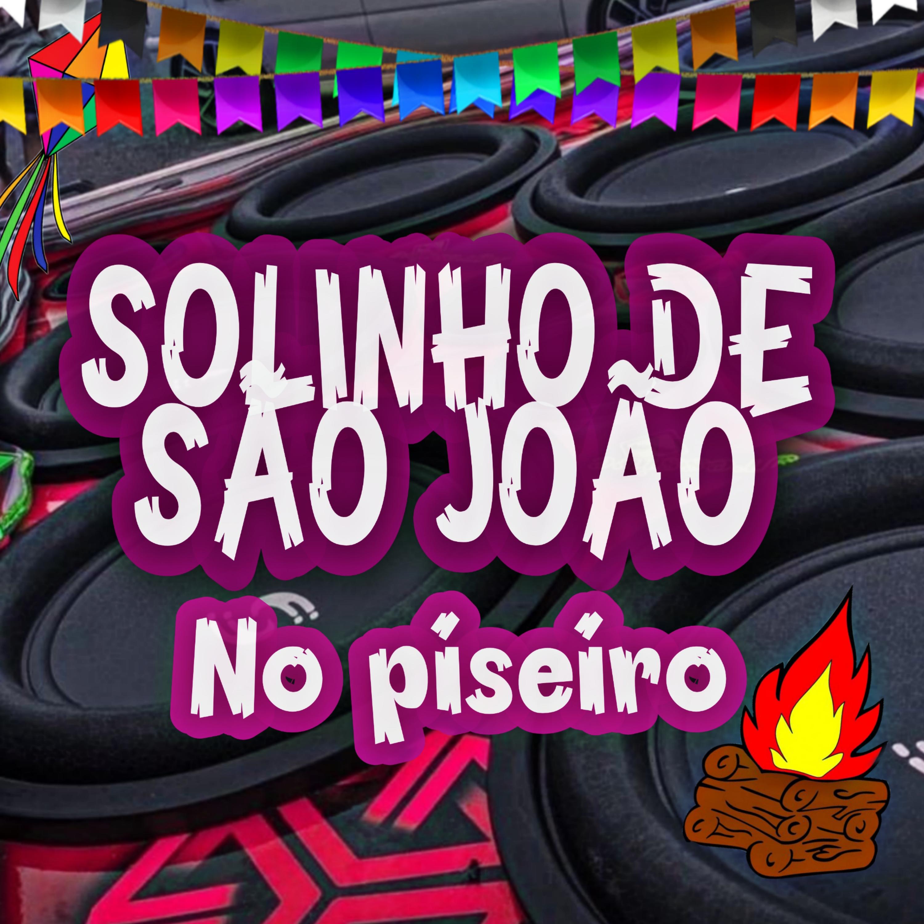 Постер альбома Solinho de São João no Piseiro