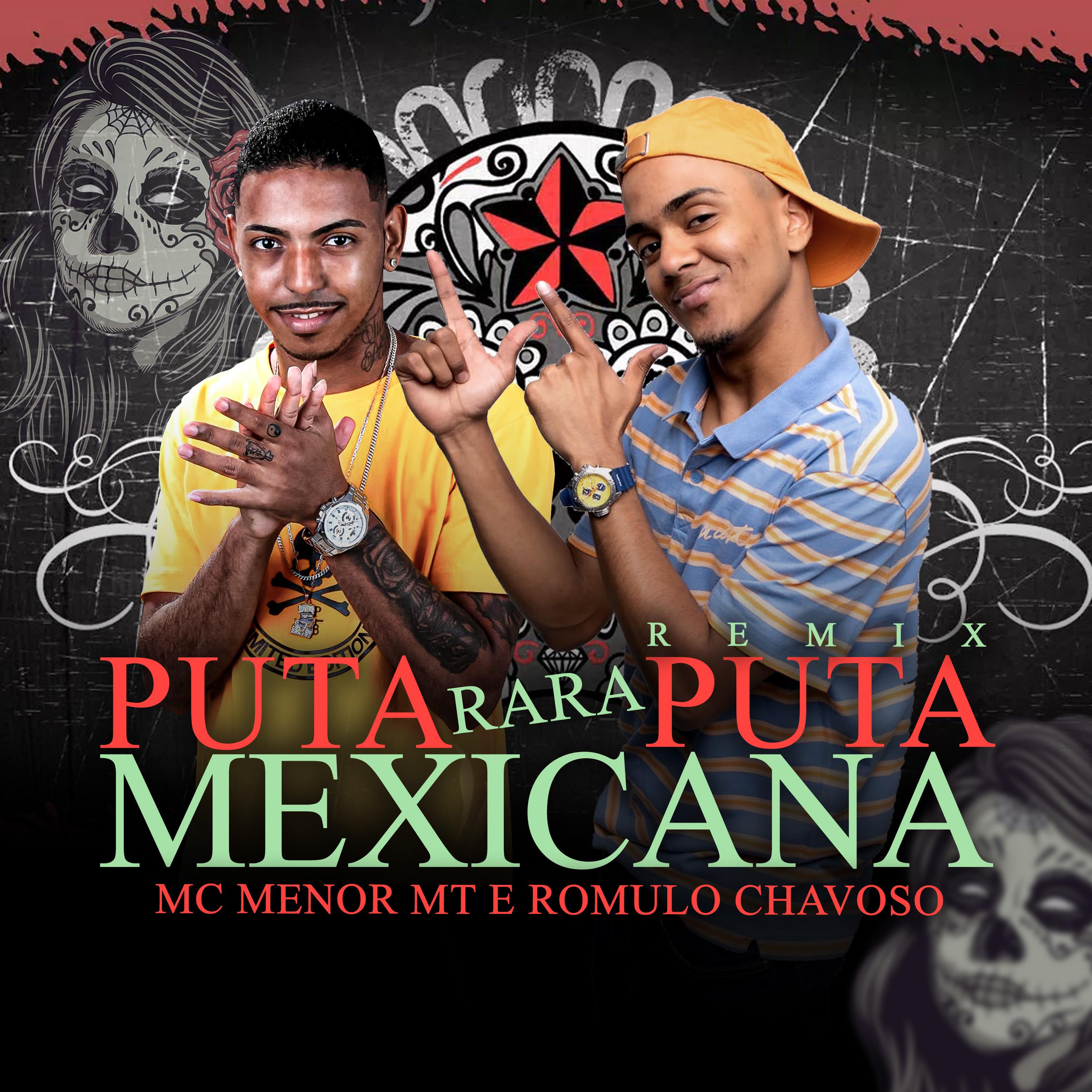Постер альбома Puta Rara Puta Mexicana