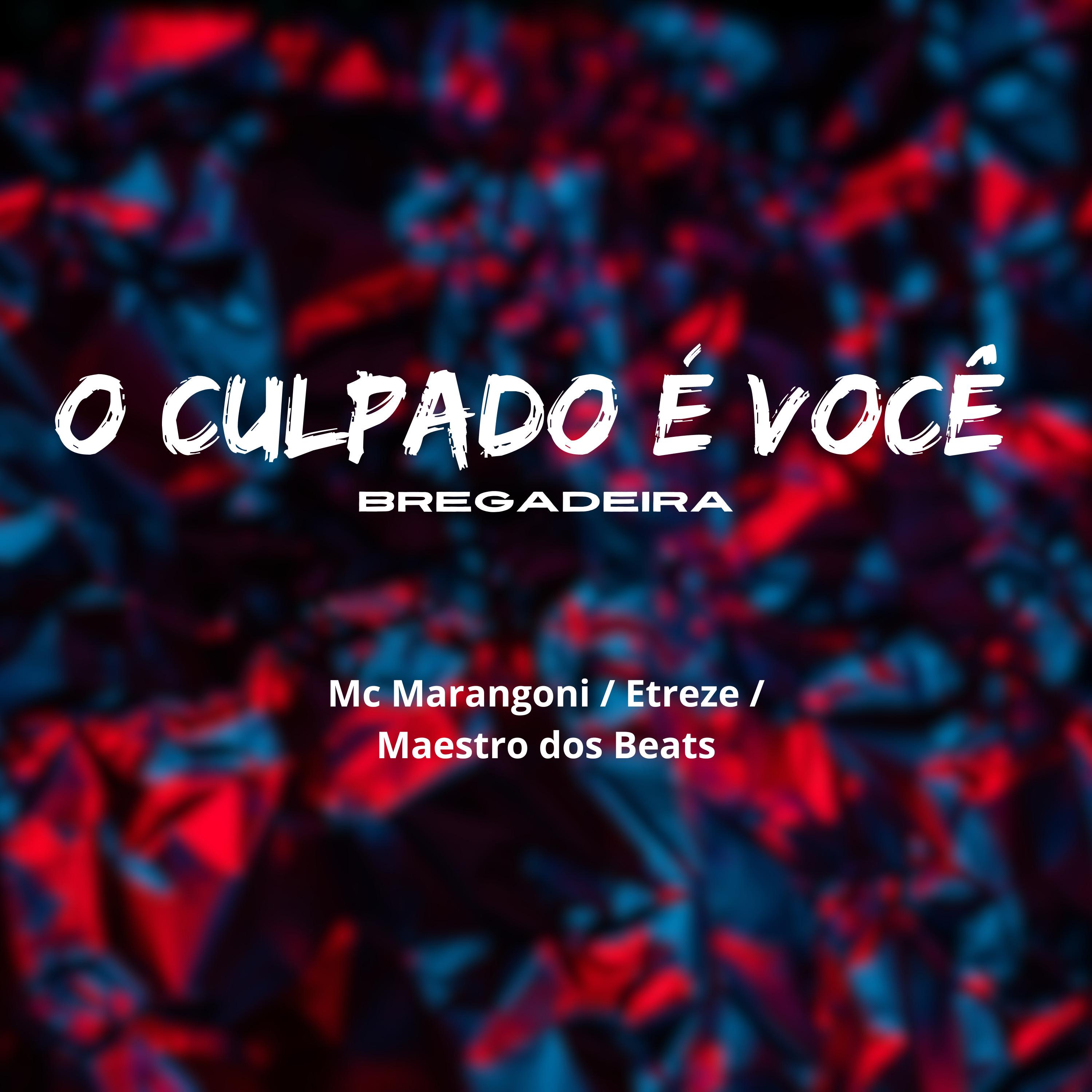 Постер альбома O Culpado É Você (Bregadeira)