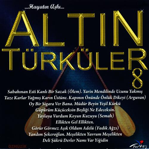 Постер альбома Altın Türküler, Vol. 8