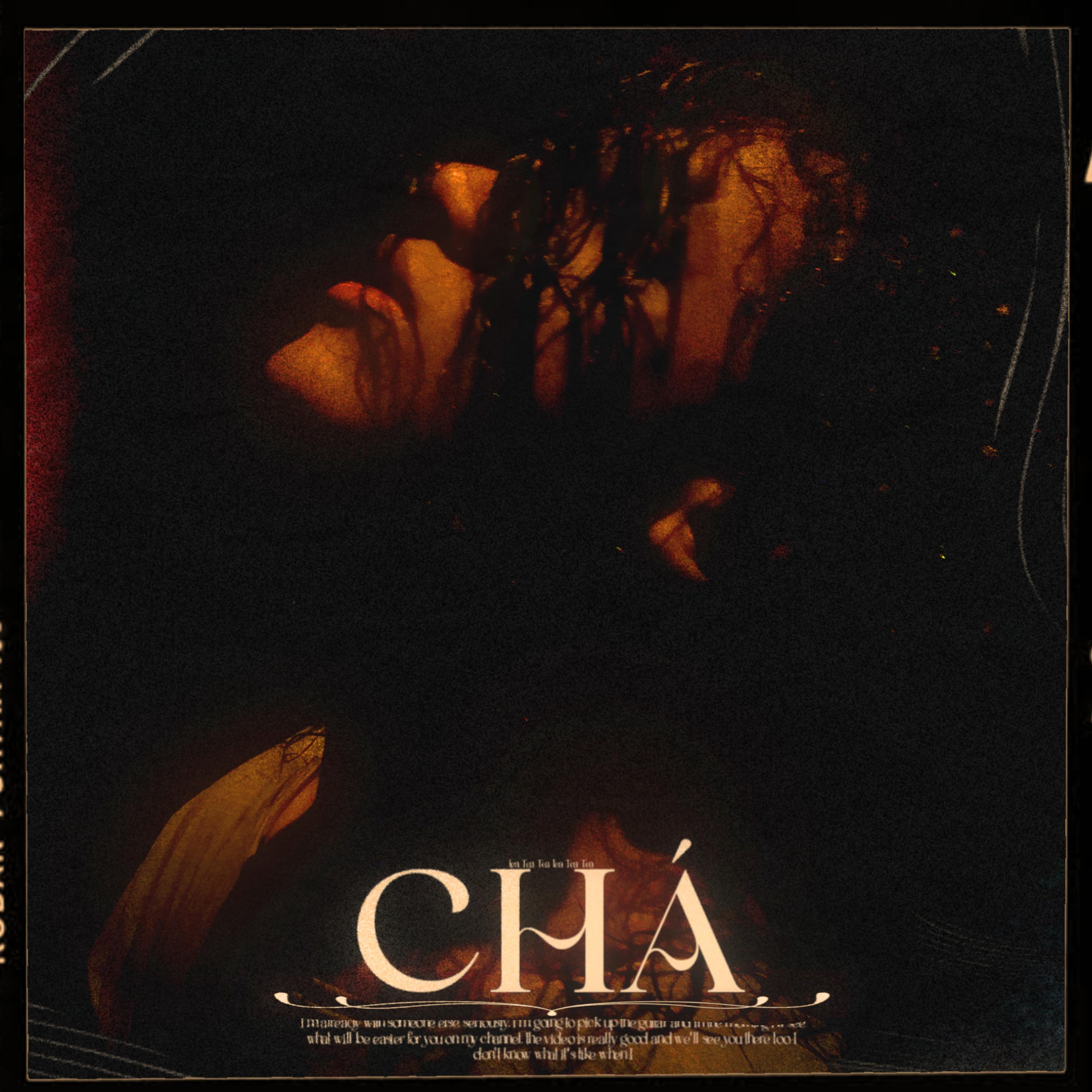 Постер альбома Chá