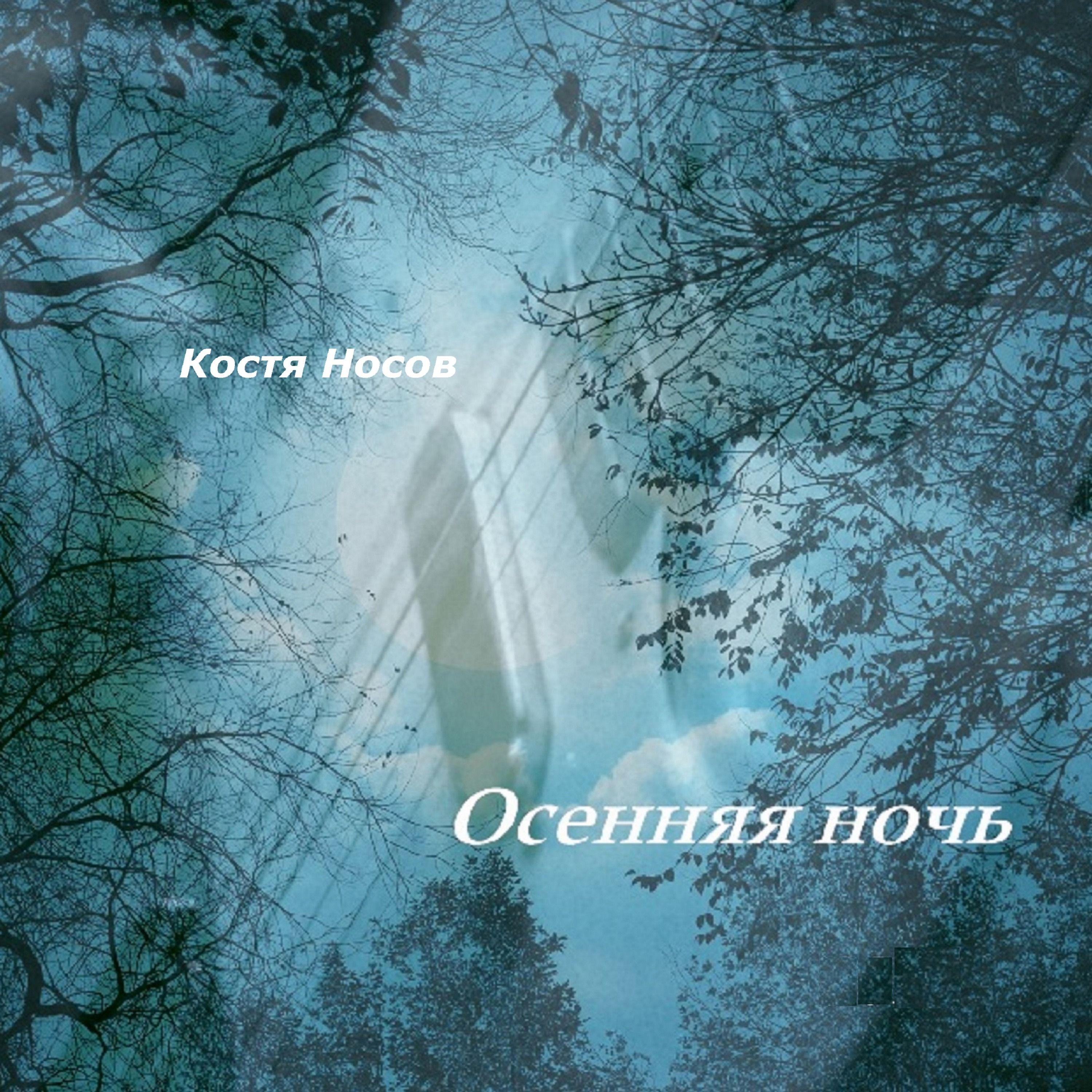 Постер альбома Осенняя ночь