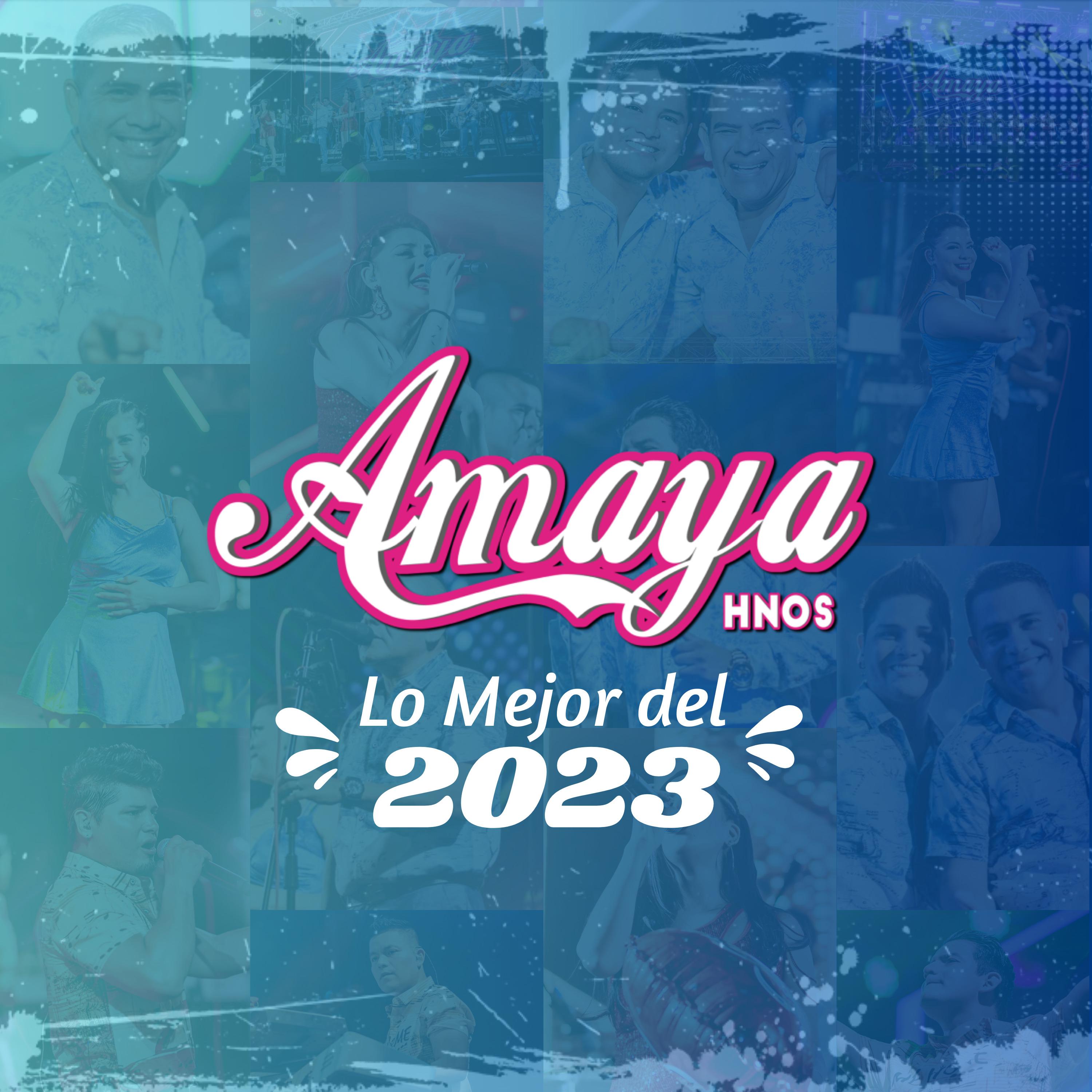 Постер альбома Lo Mejor del 2023
