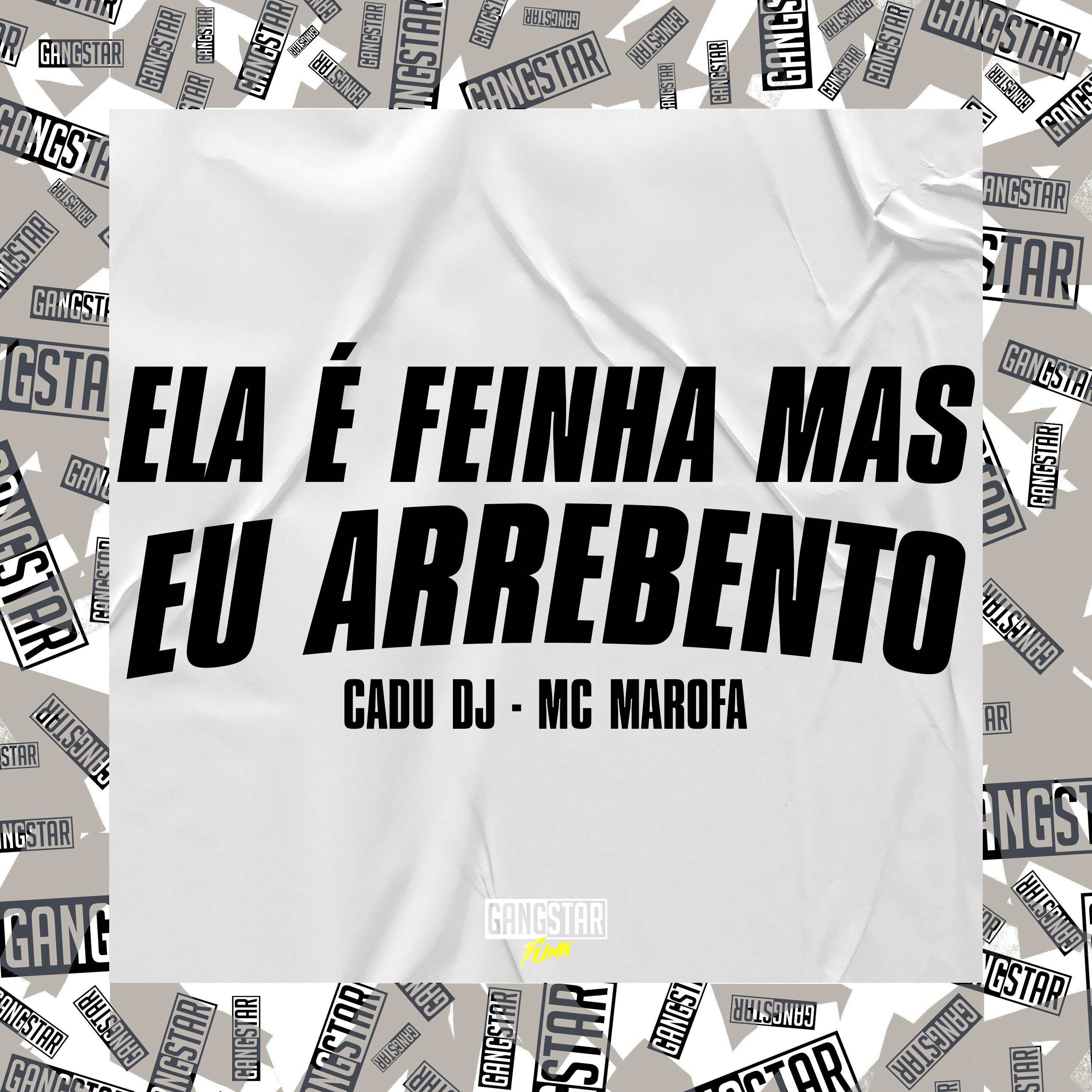 Постер альбома Ela É Feinha, Mas Eu Arrebento
