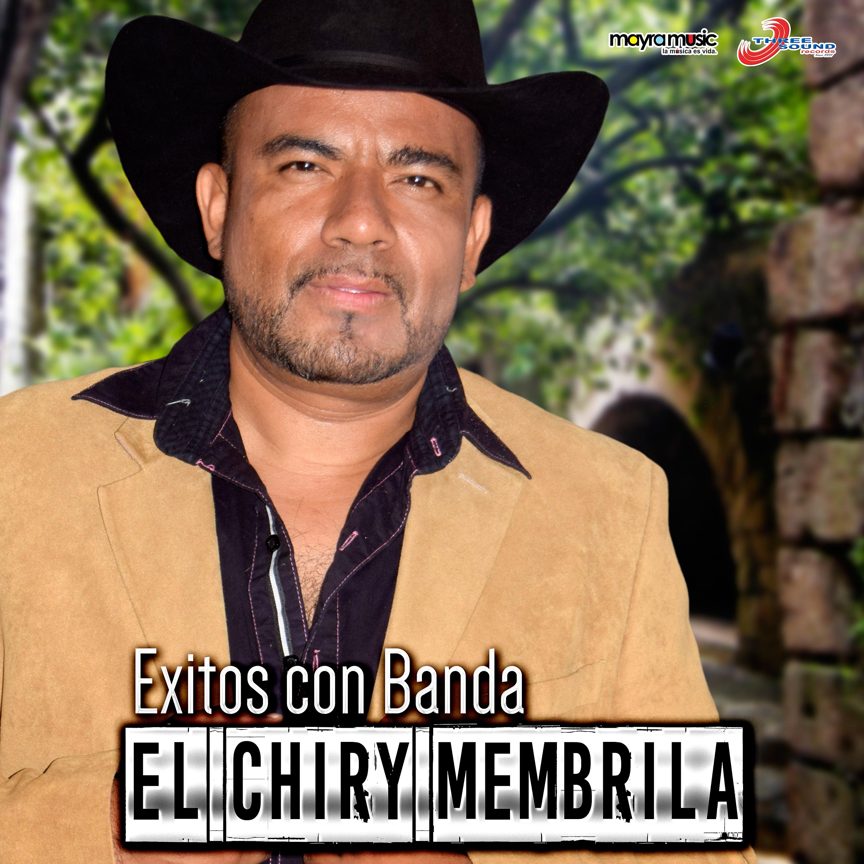 Постер альбома Exitos Con Banda