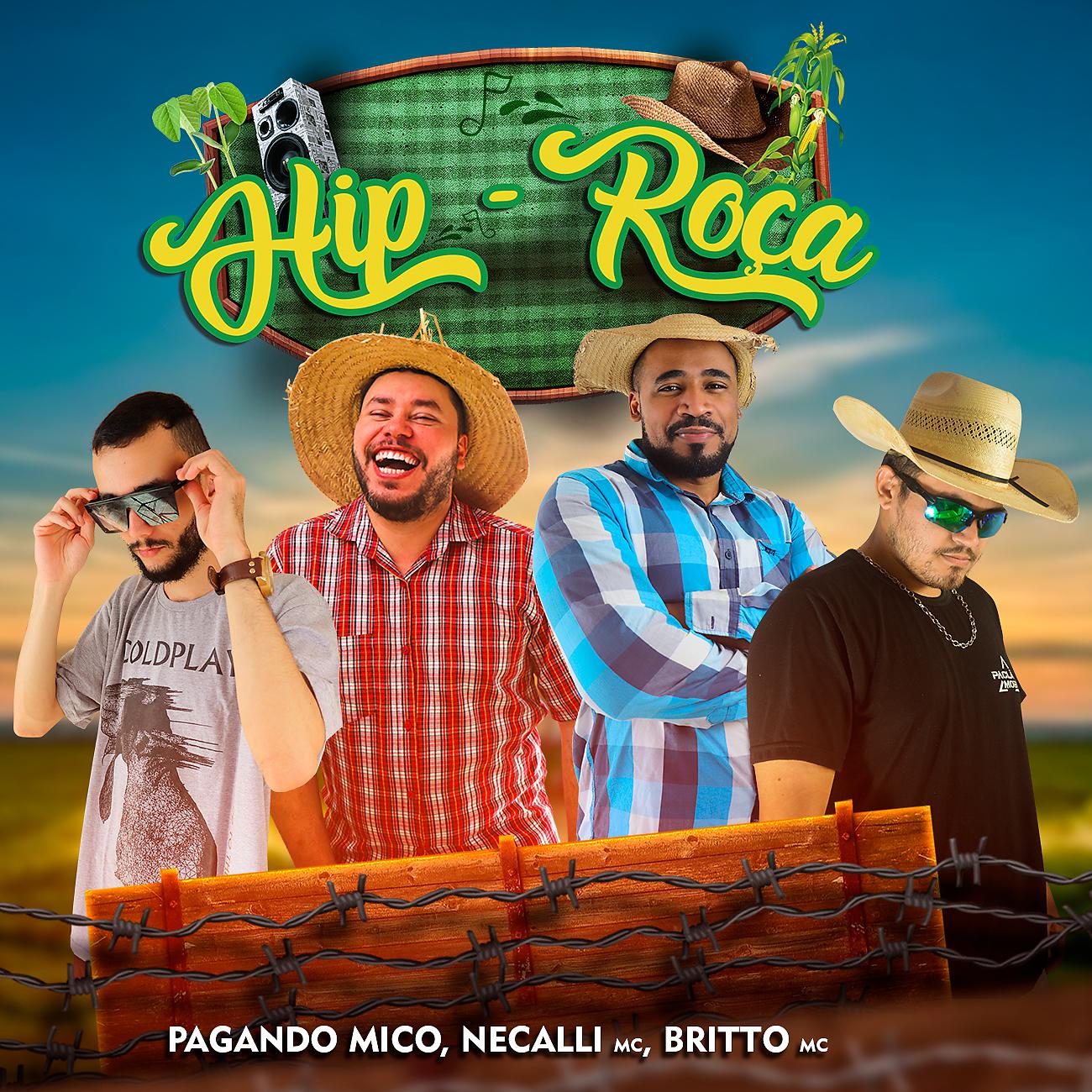 Постер альбома Hip-Roça