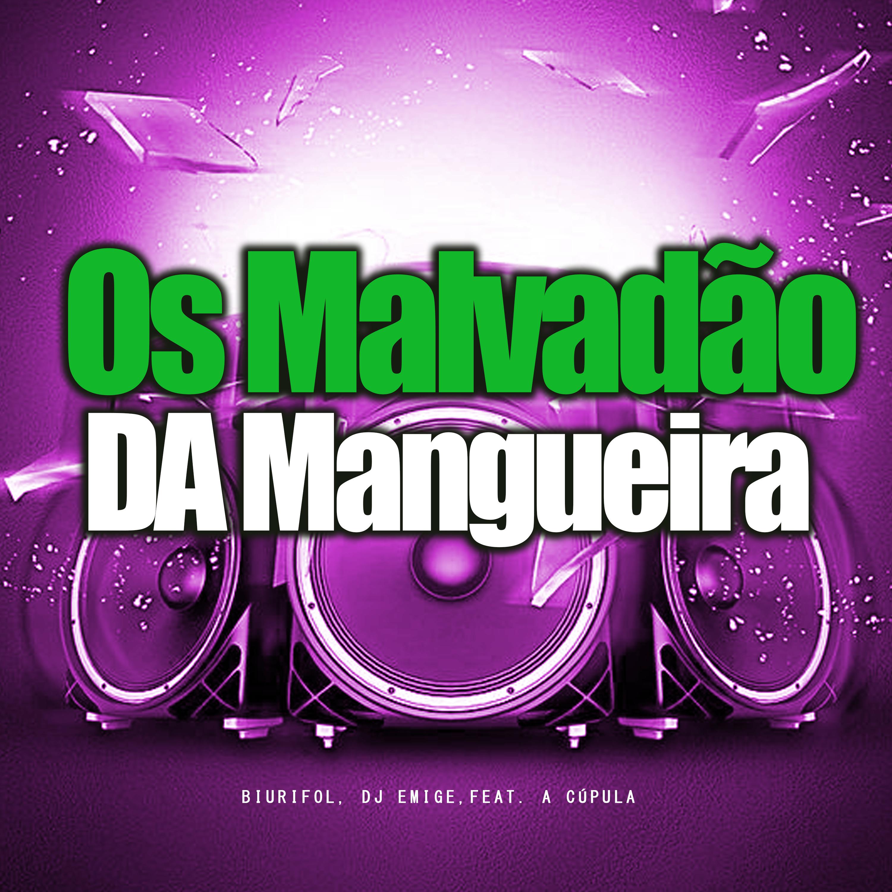 Постер альбома Os Malvadão da Mangueira