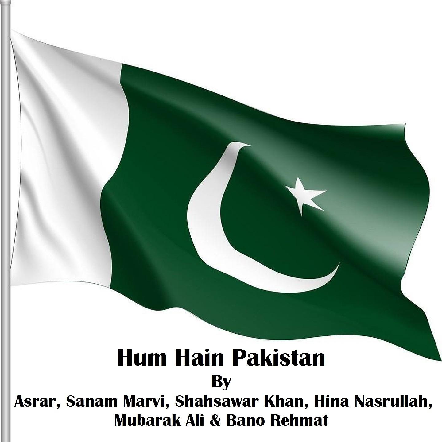 Постер альбома Hum Hain Pakistan