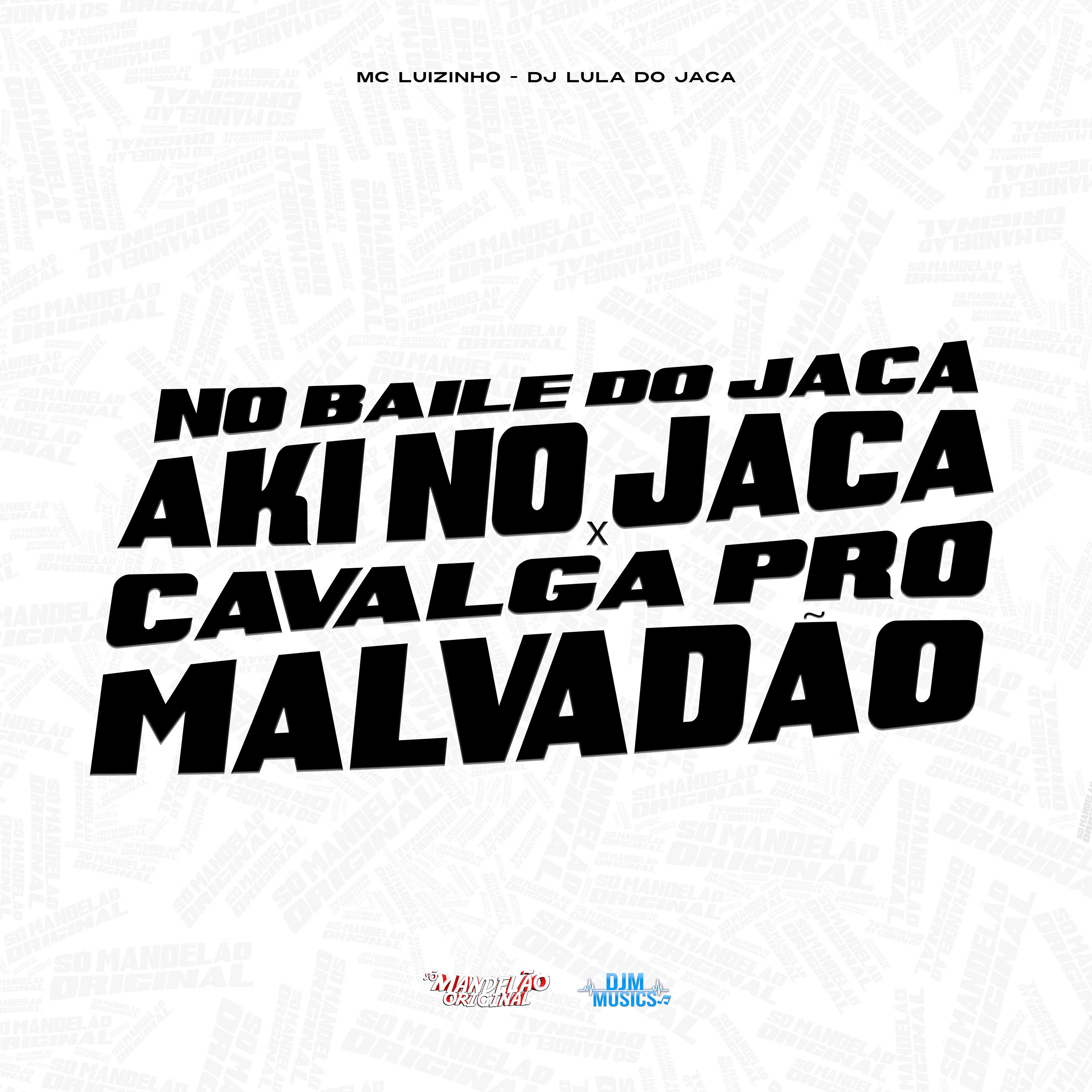 Постер альбома No Baile do Jaca Aki no Jaca X Cavalga pro Malvadão