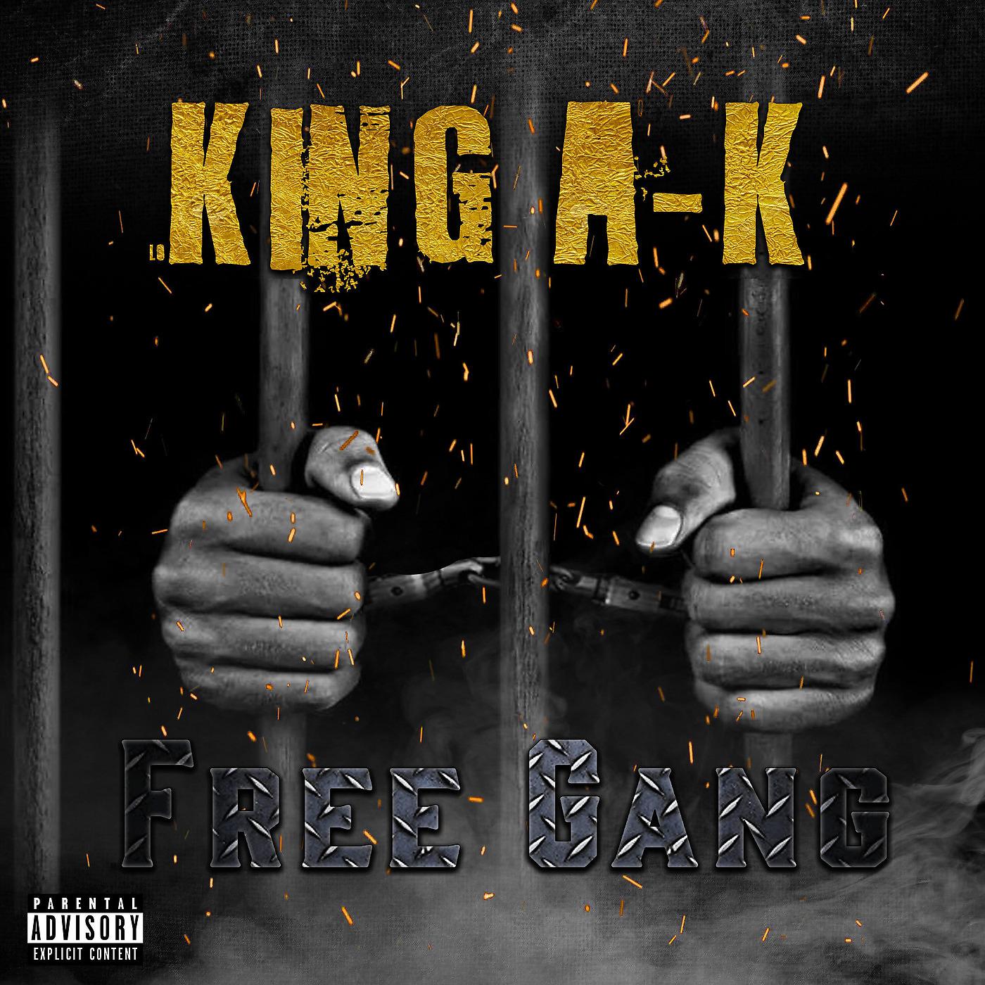 Постер альбома Free Gang