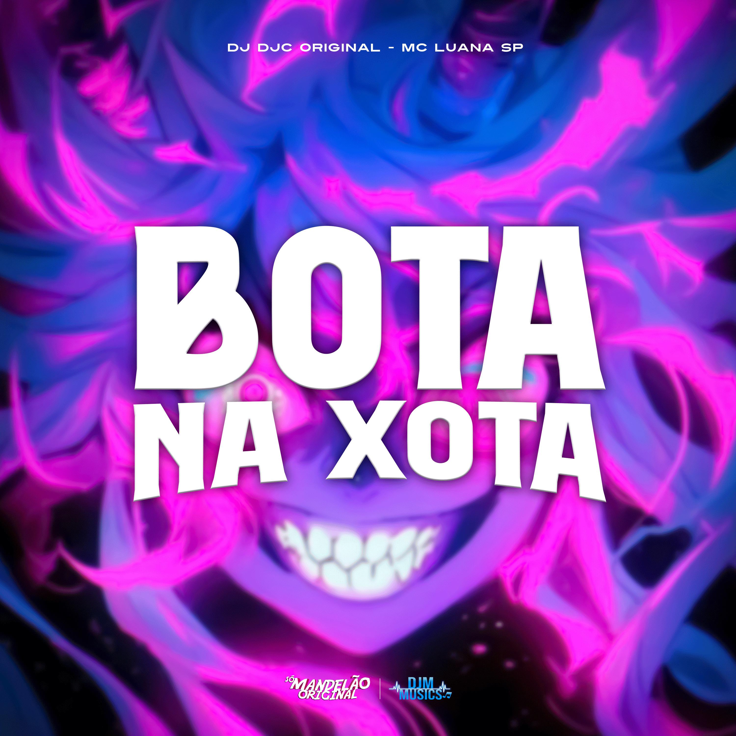 Постер альбома Bota na Xota