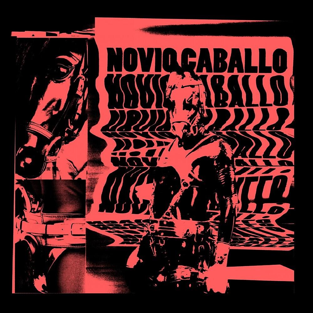 Постер альбома Novio Caballo