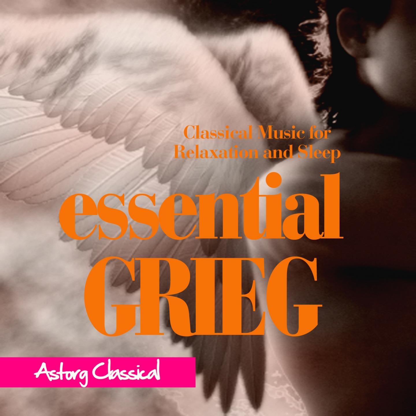 Постер альбома Essential Grieg