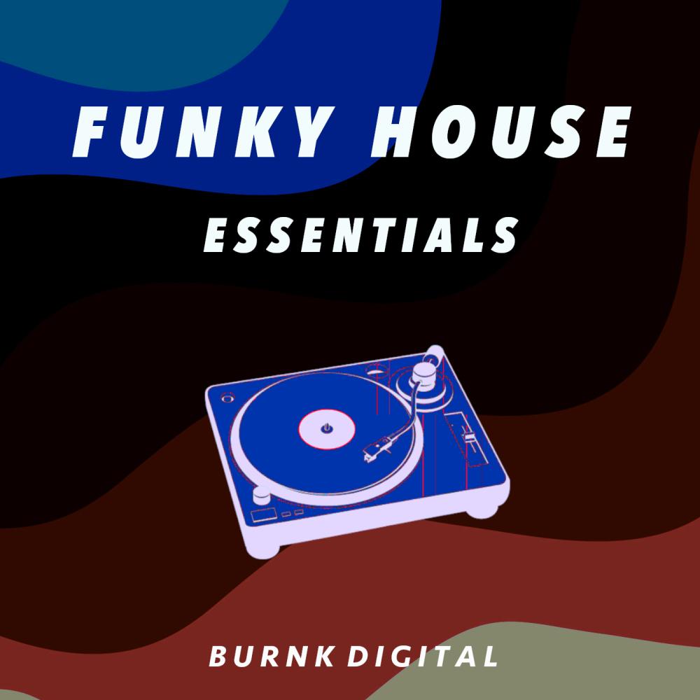 Постер альбома Funky House Essentials 9