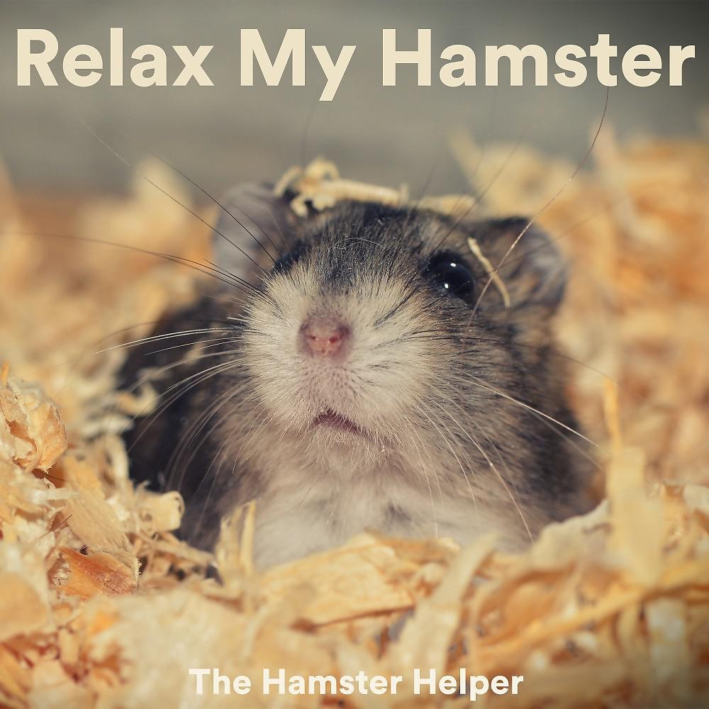 Постер альбома Relax My Hamster
