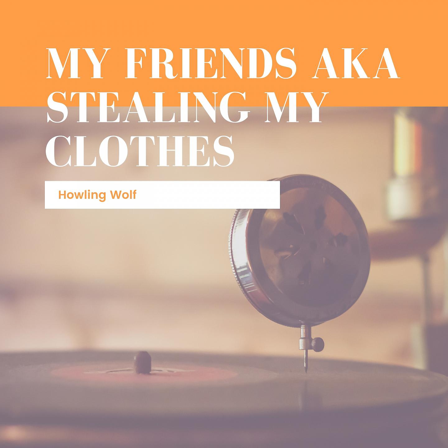 Постер альбома My Friends aka Stealing My Clothes
