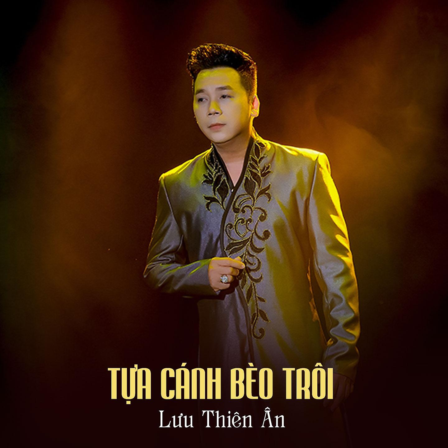 Постер альбома Tựa Cánh Bèo Trôi