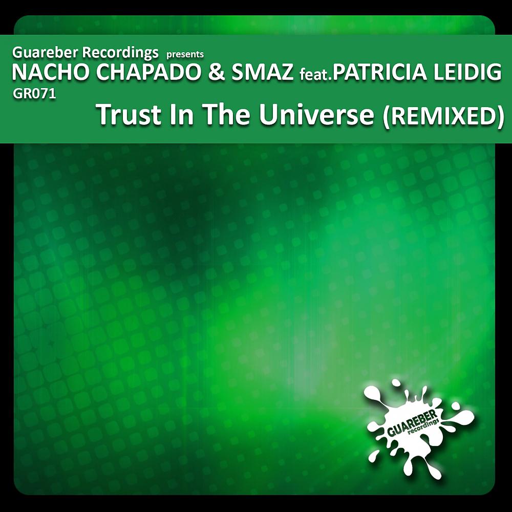 Постер альбома Trust In The Universe Remixed